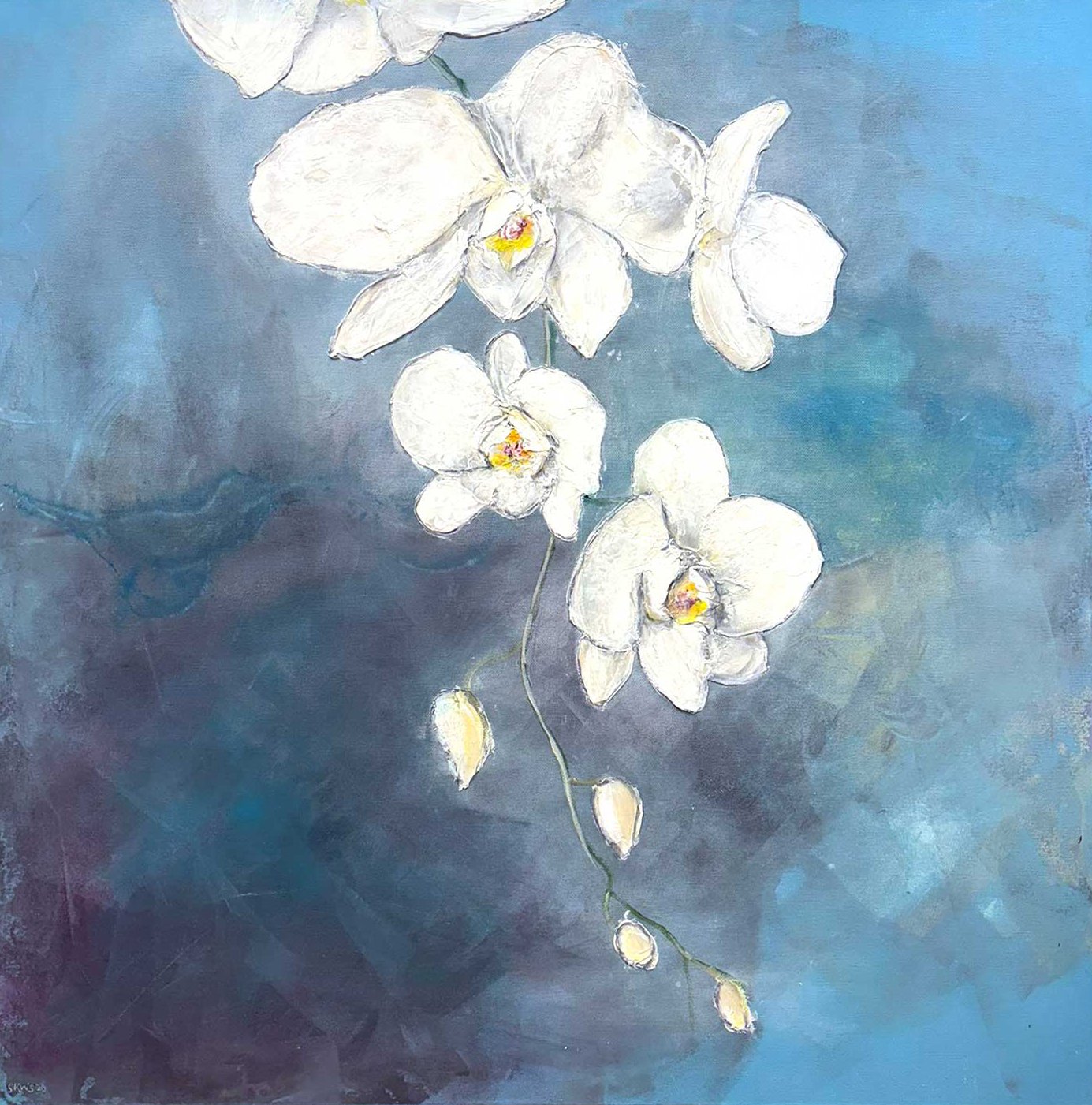 orchide.jpg