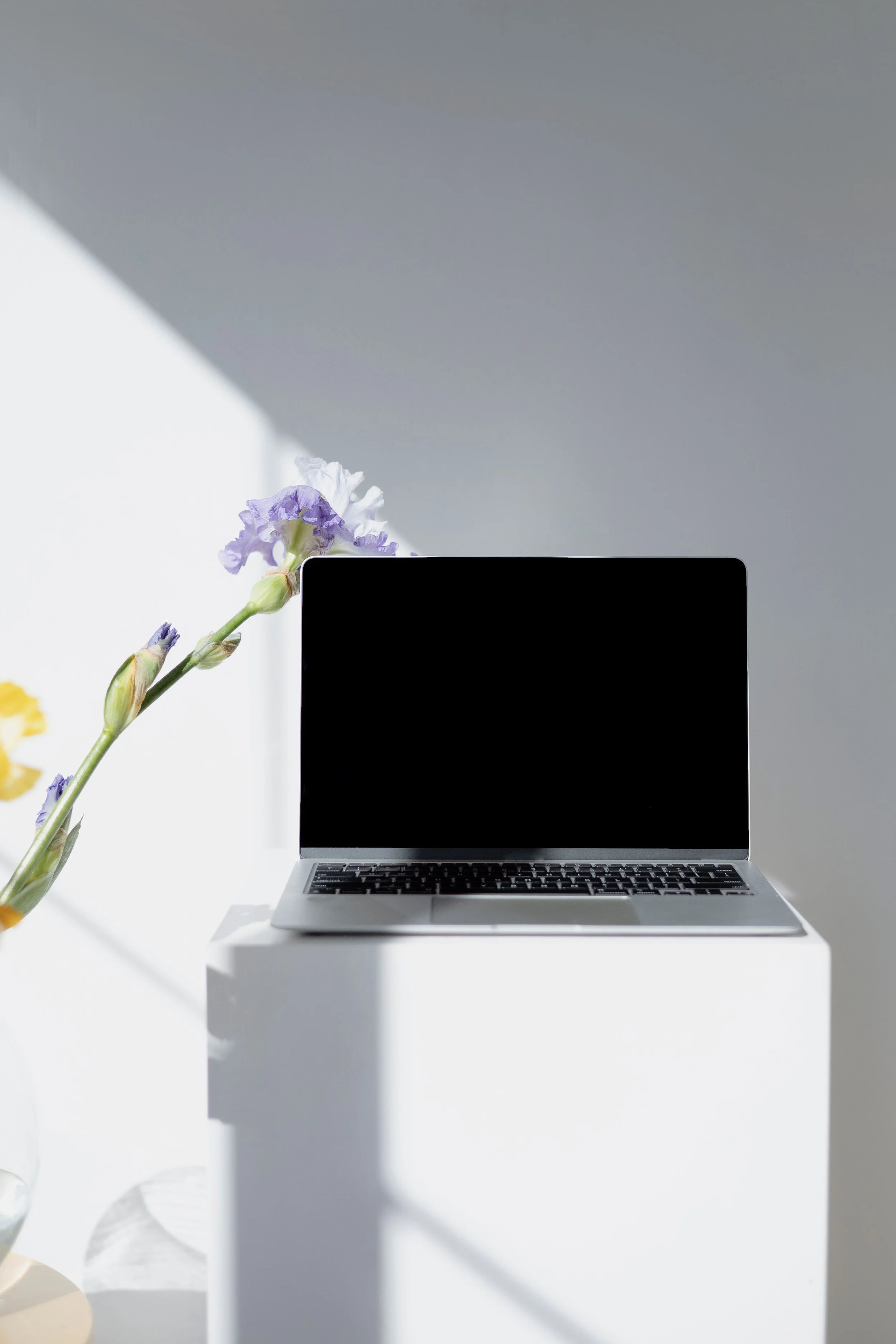 A silver laptop with its screen off is placed on a white table near a potted plant with purple and green leaves. The background is a light grey wall with sunlight casting shadows.