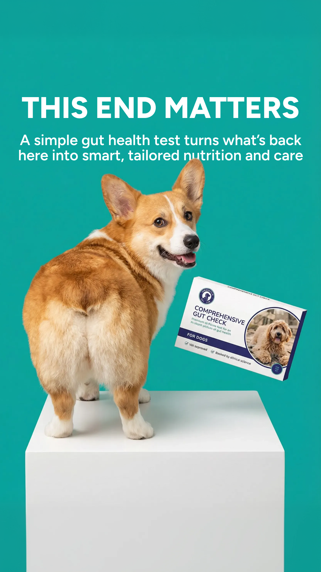 Innovative Pet Lab_03_9x16 15.12.53.png
