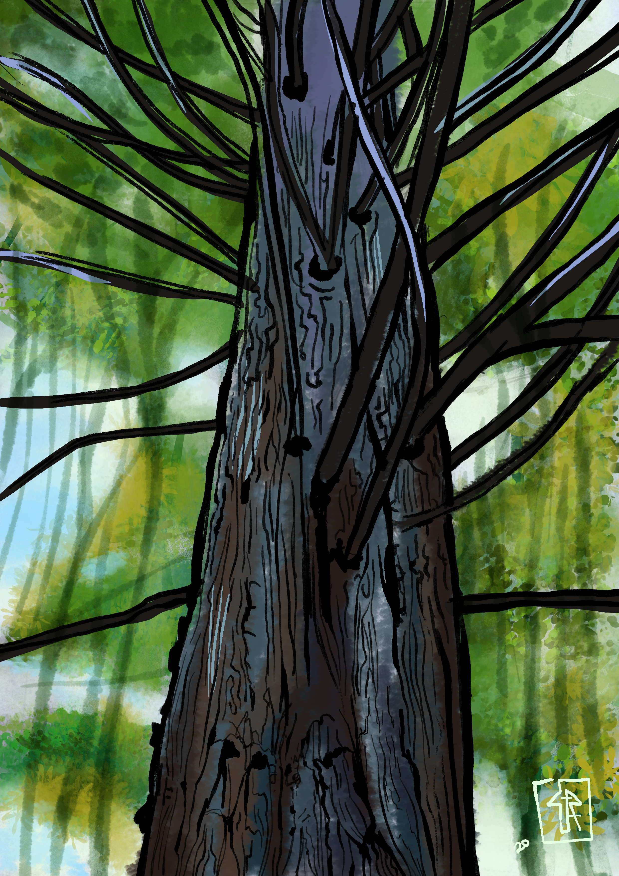 tree