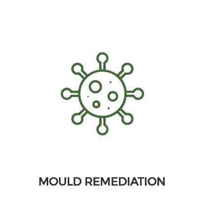 MOULD.png