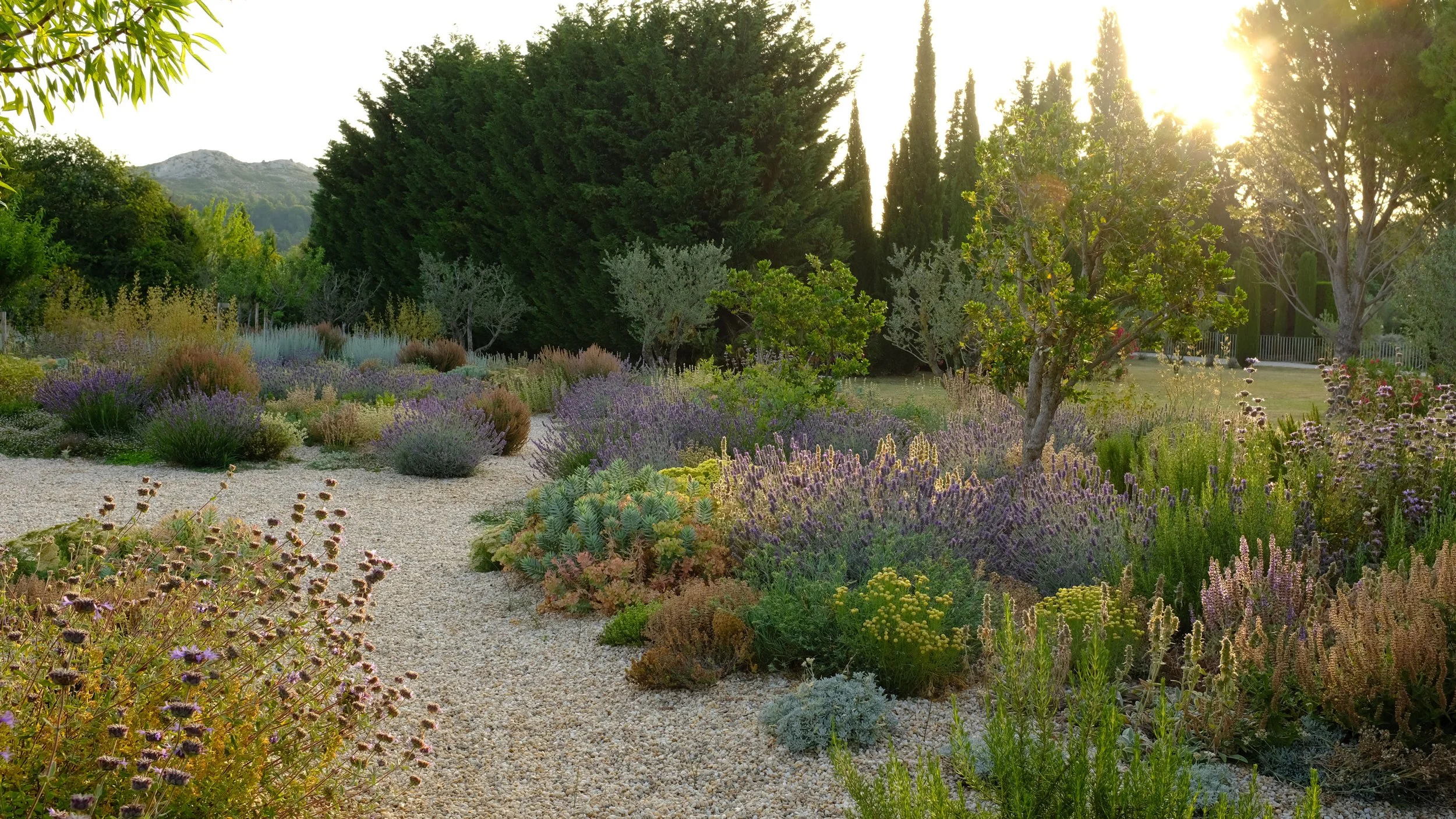How to Look After Your Garden in Hot Weather&nbsp;