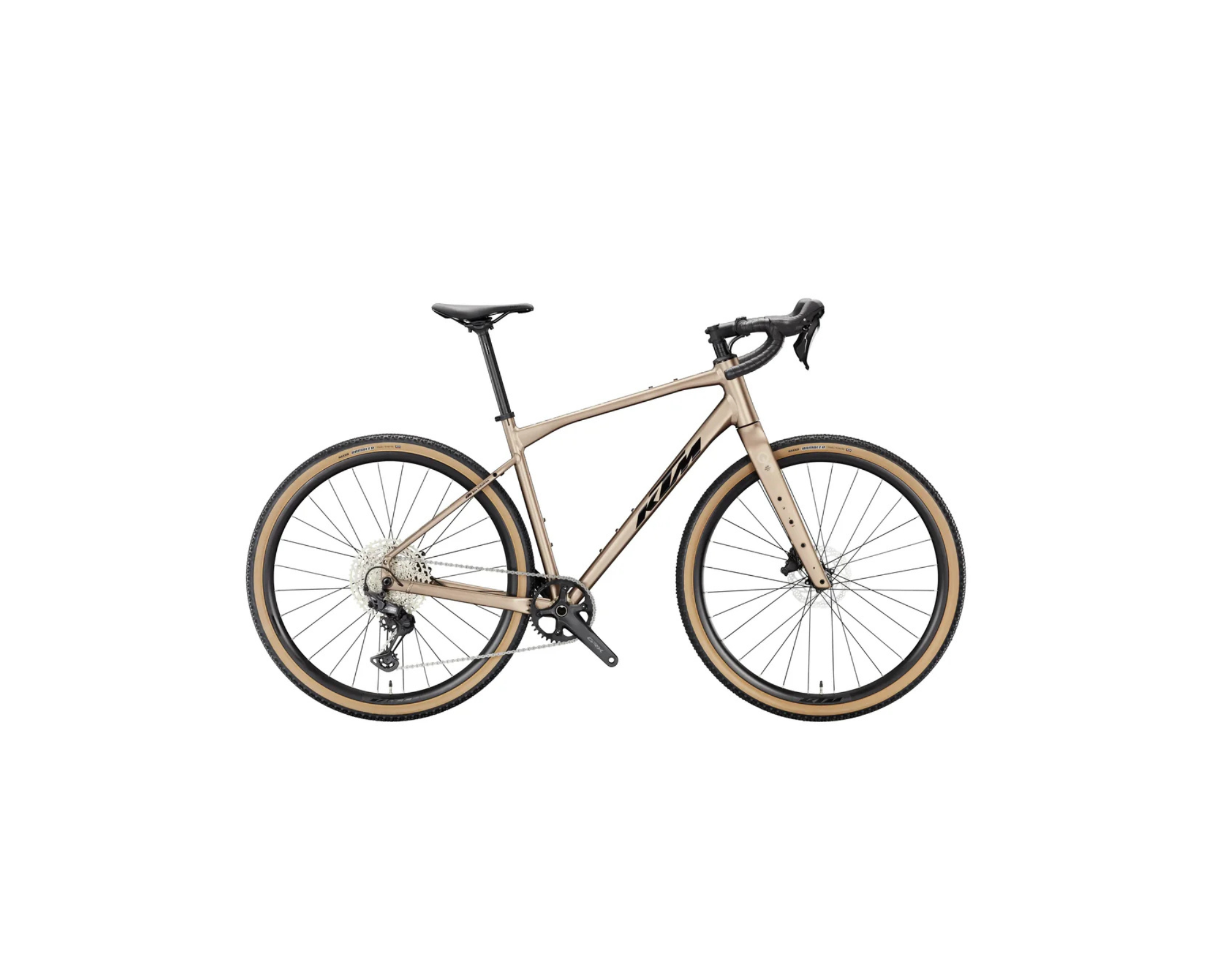 Progetto senza titolo (21).png