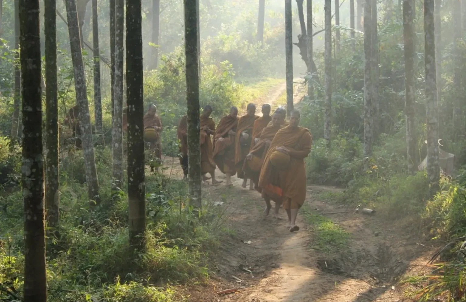 Monks-in-Thai-forest-original-healed.webp