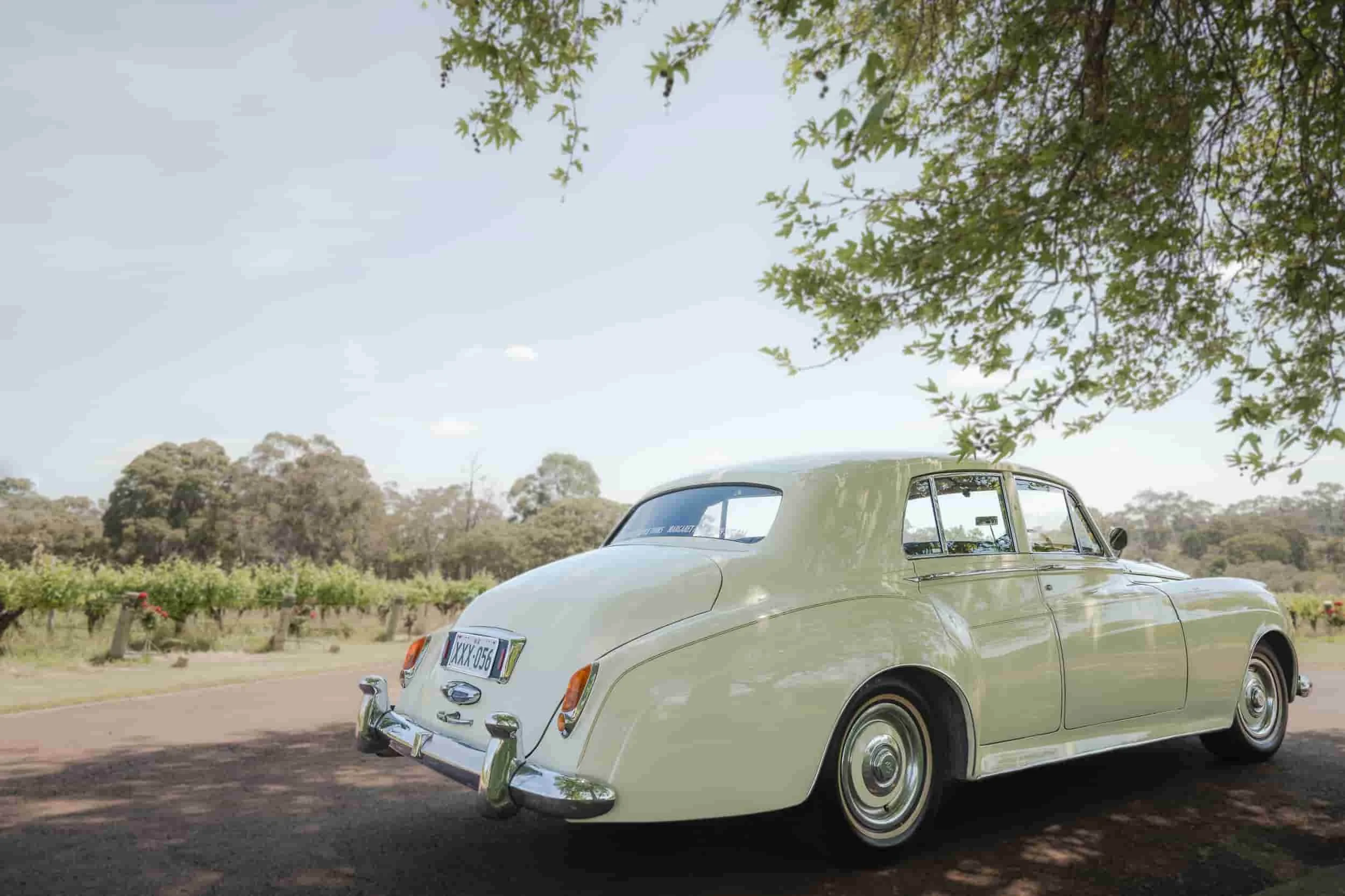 rolls royce from the rear