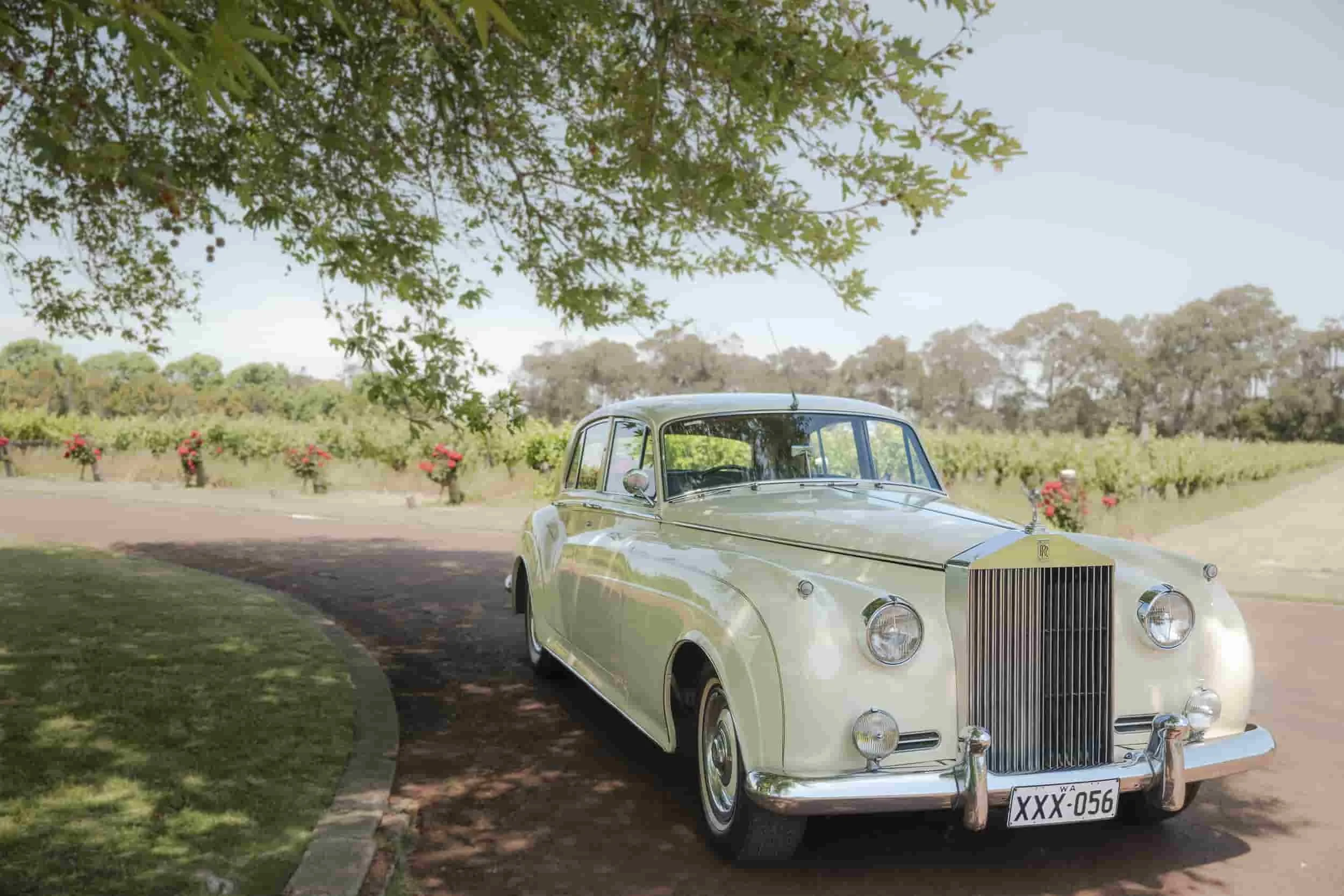 Rosie wine tour car