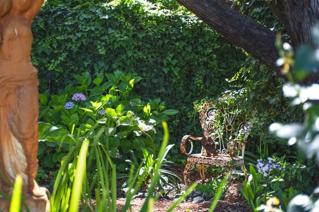 rosewood guesthouse beautiful garden