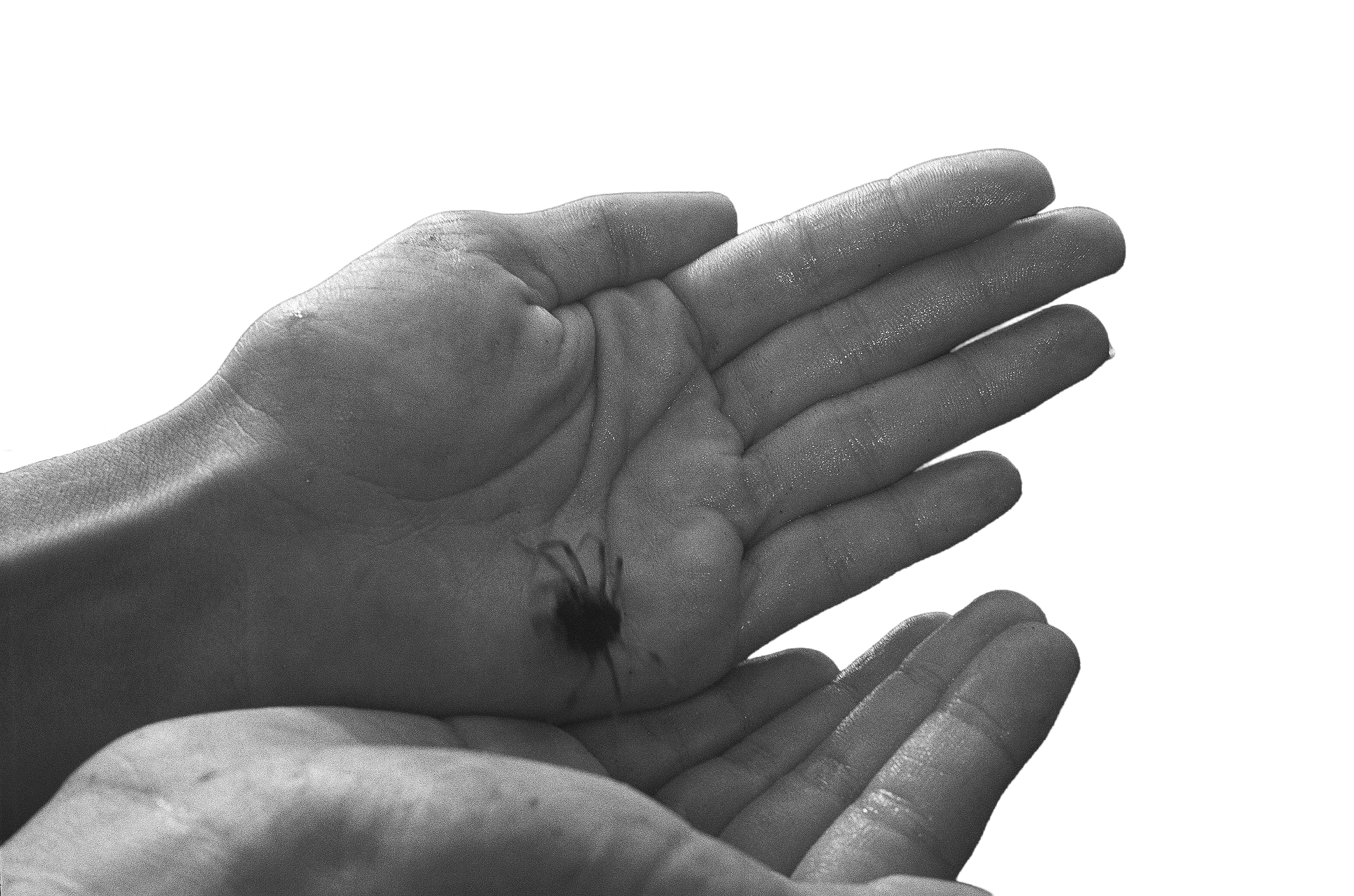 Close-up of a person's hand with fingers pressed together against a dark background.
