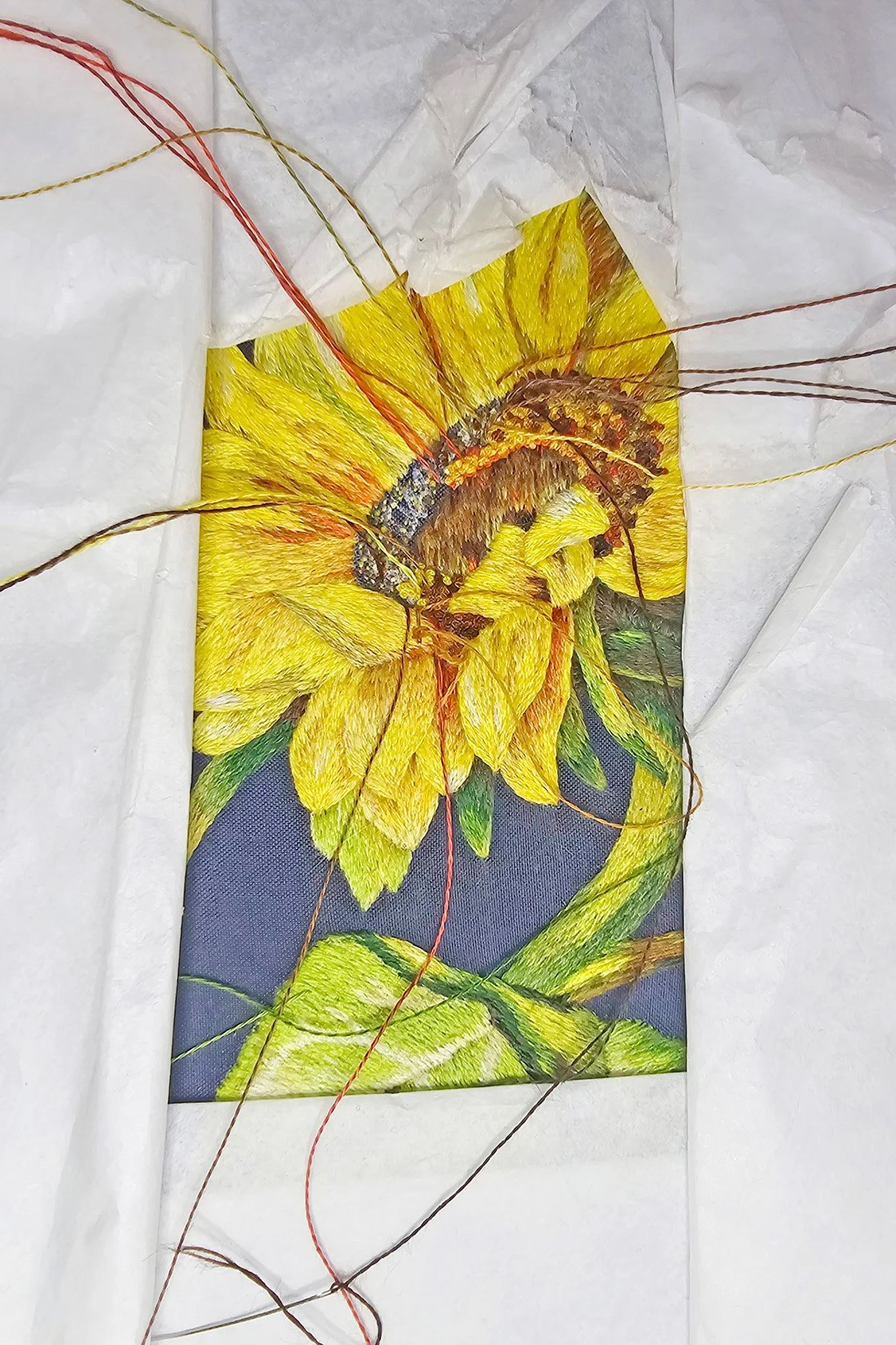 Orolinova-sunflower05 edit-2.jpg