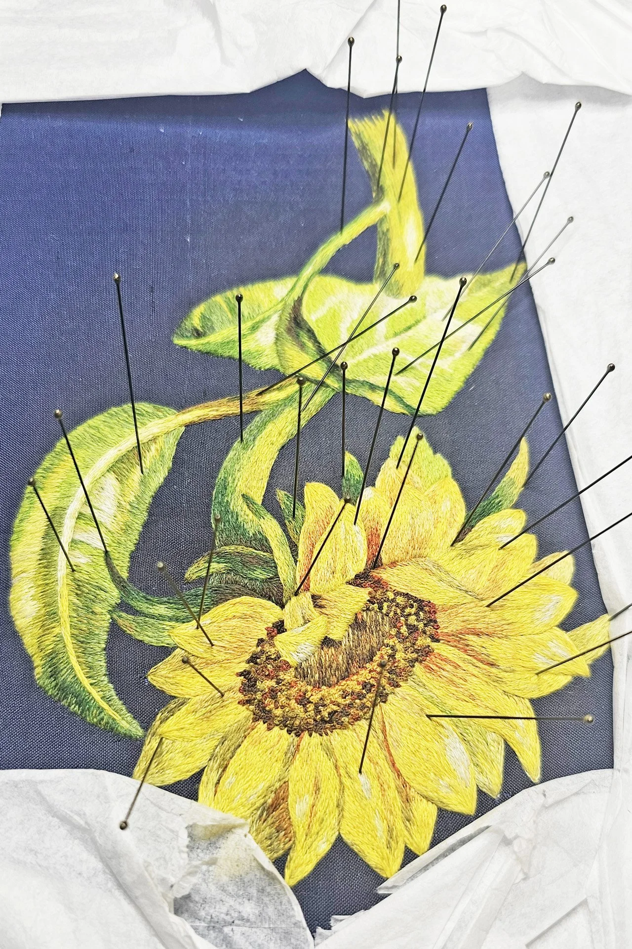 Orolinova-sunflower08.jpg