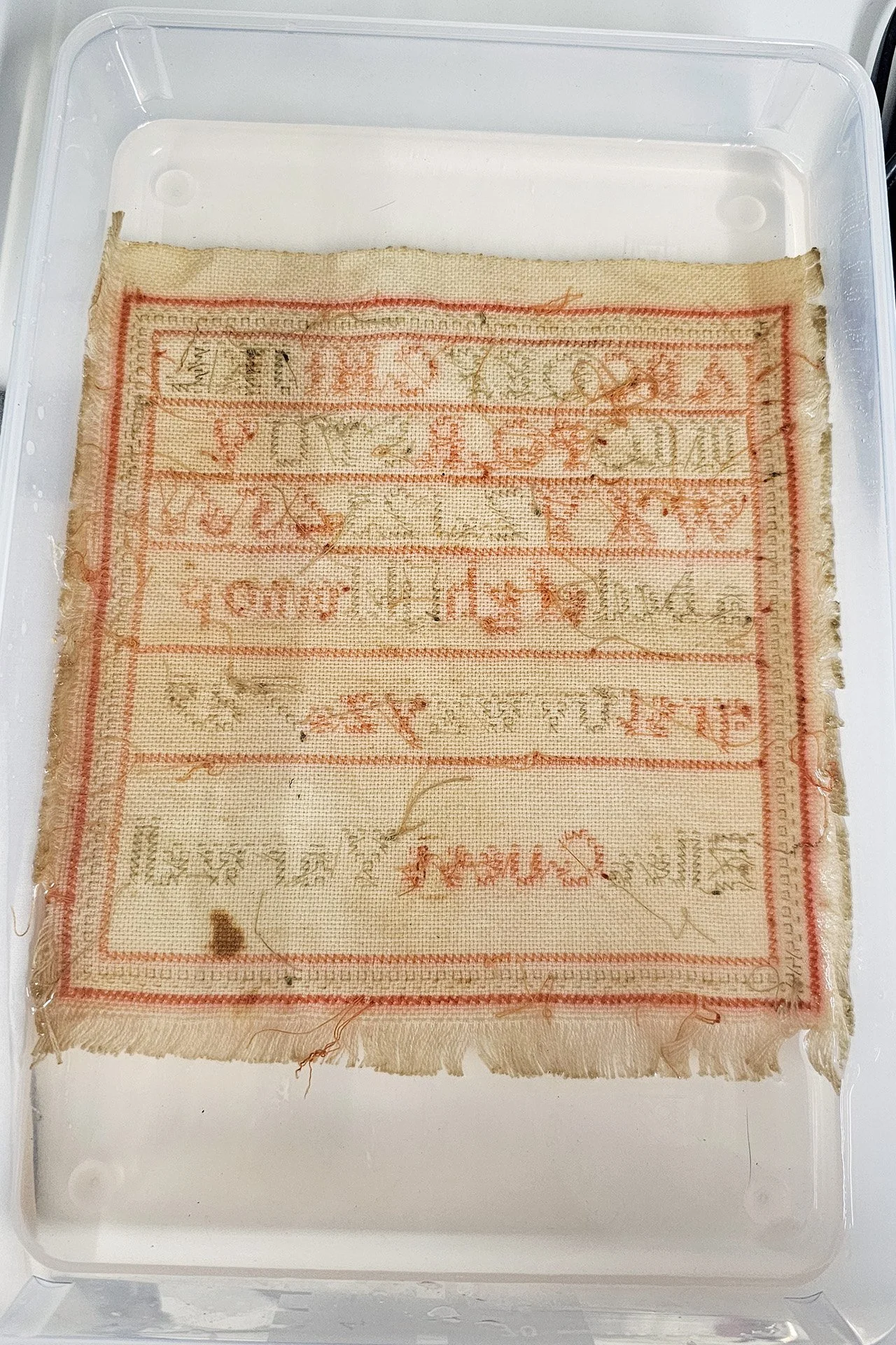 Ellen Guest Y. sampler04.jpg