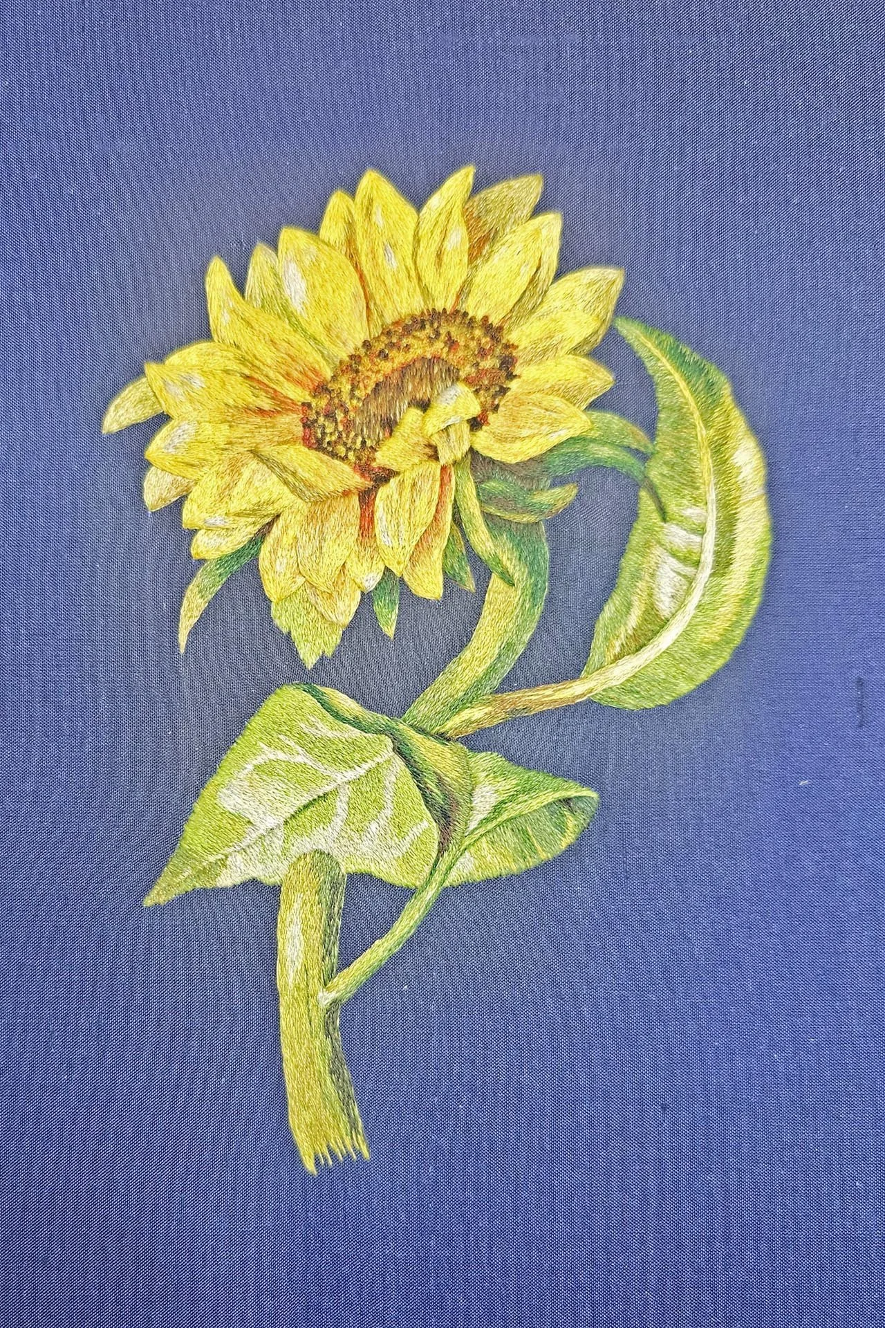 Orolinova-sunflower10.jpg