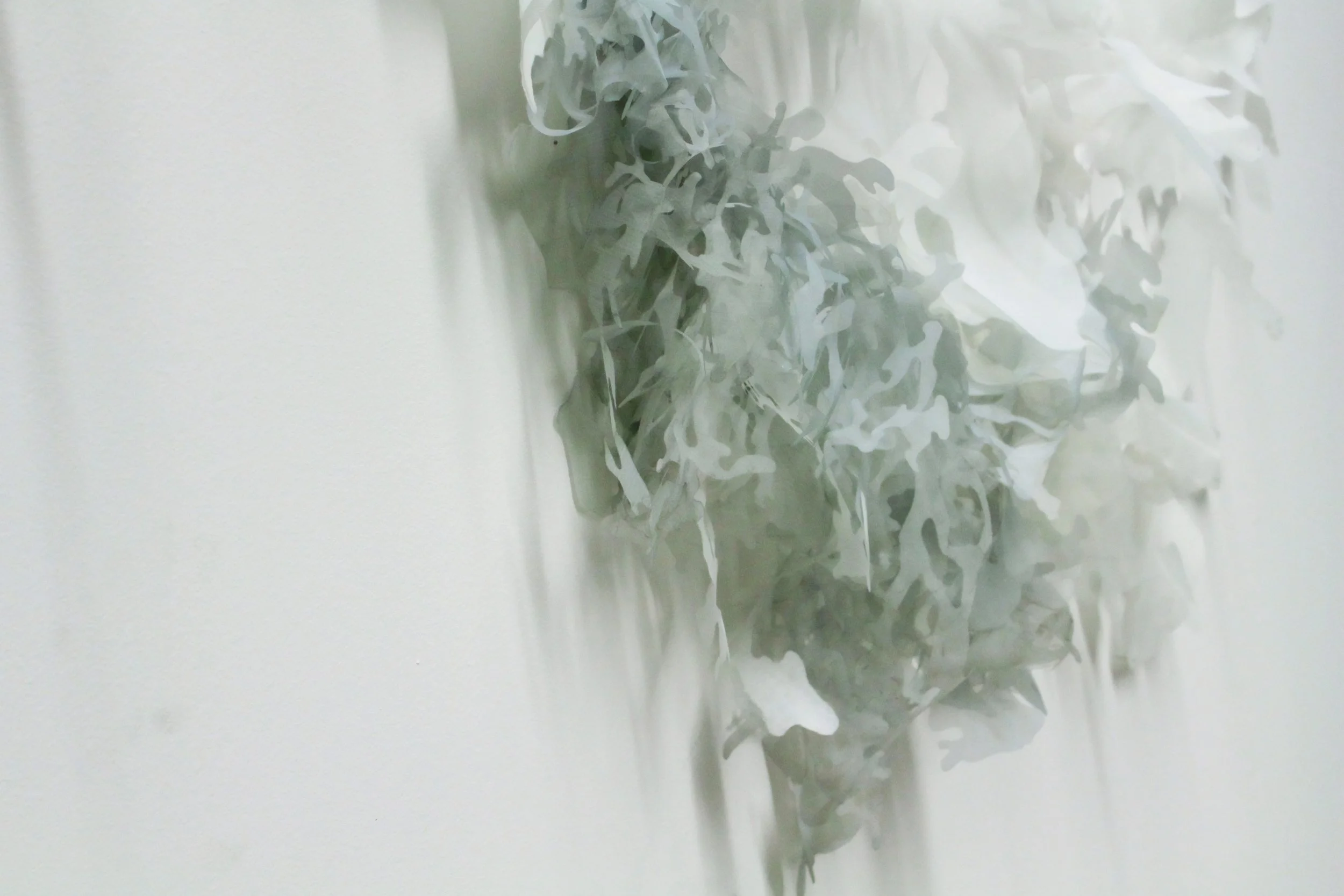 FIbre Art