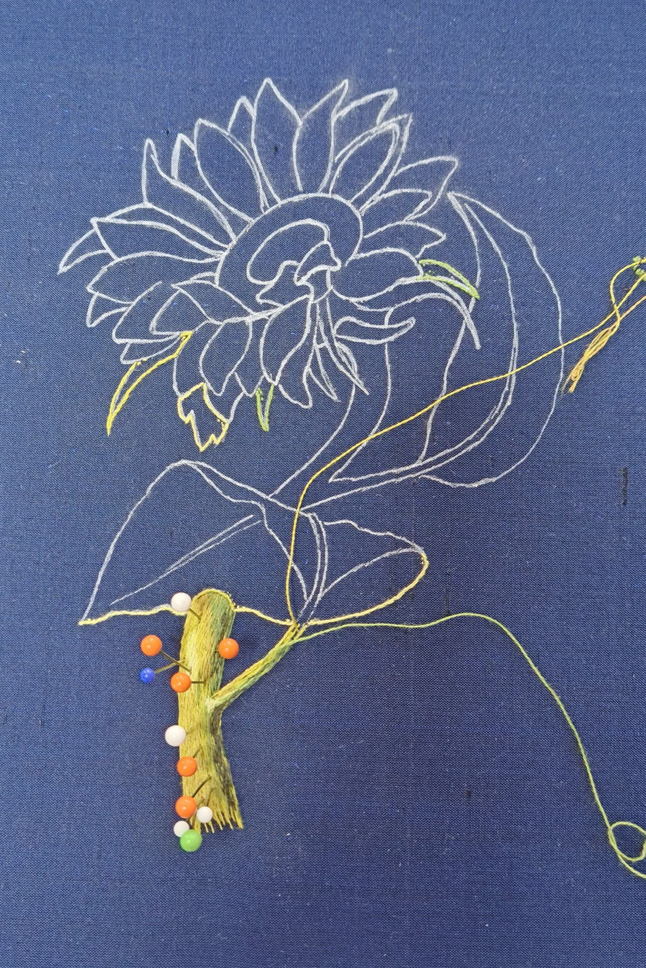 Orolinova-sunlower01.jpg