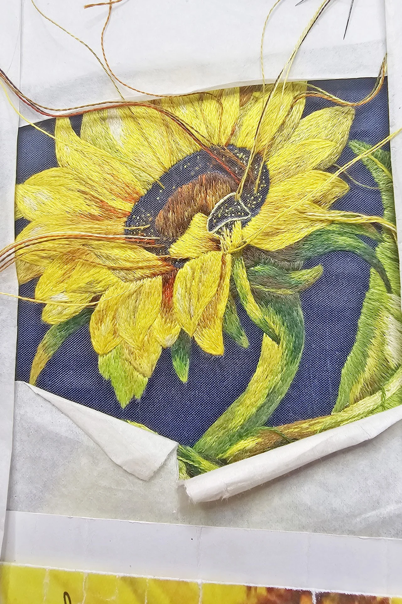 Orolinova-sunflower04.jpg