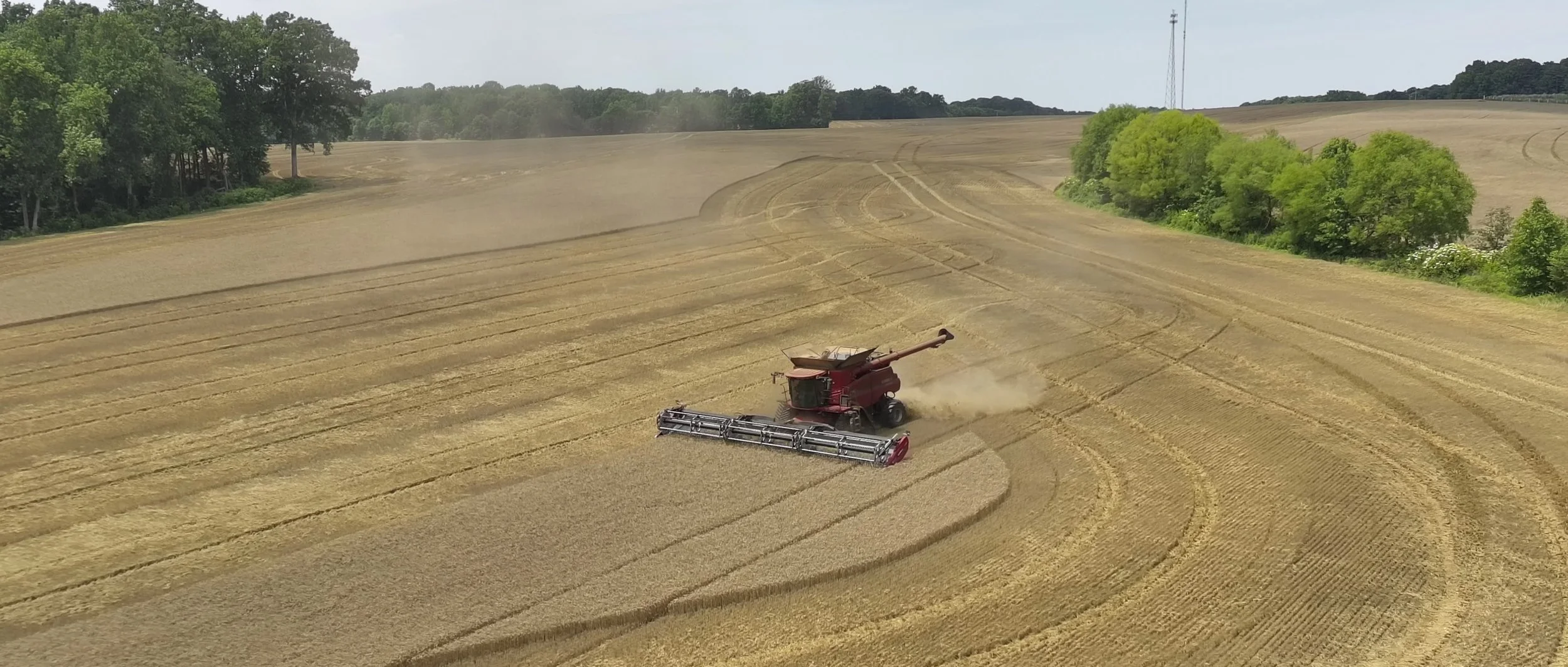 A red combine harvester working in a large wheat field, harvesting and chaff flying into the air, with green trees and hills in the background.