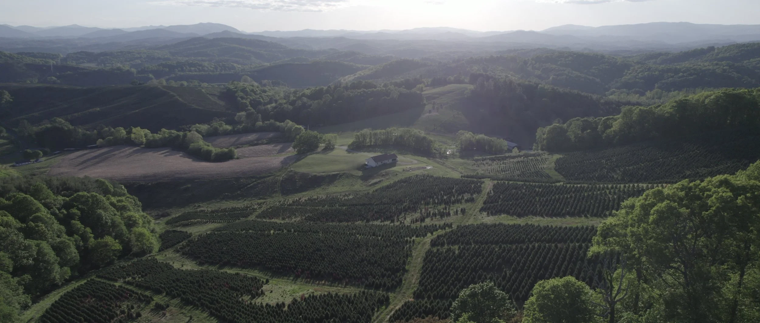 Aerial view of rolling green hills and farmland, with lush trees and a few buildings, under a partly cloudy sky.