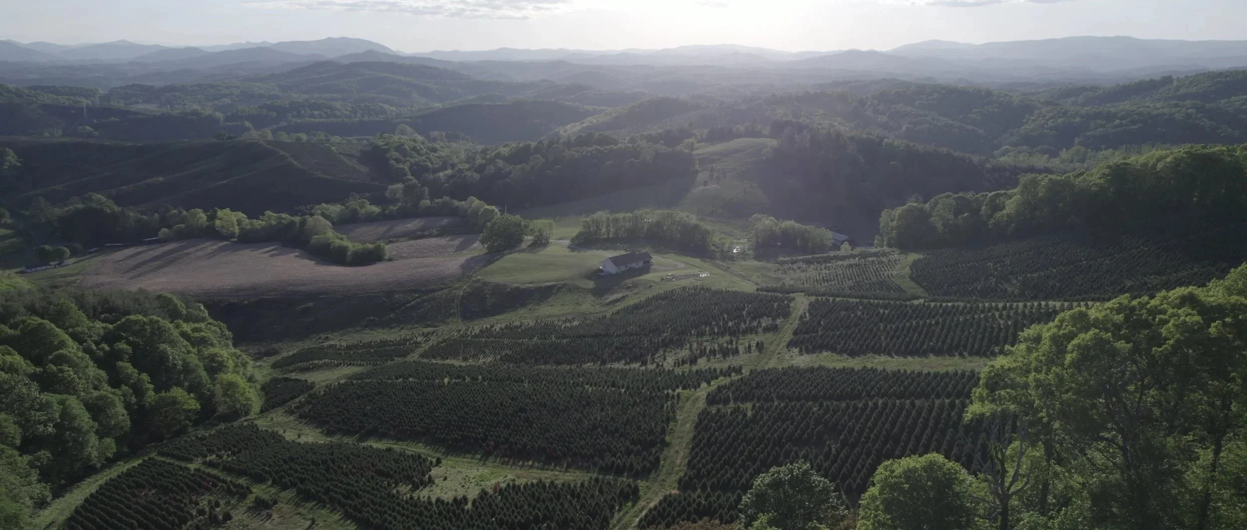 Alleghany County Film Screening