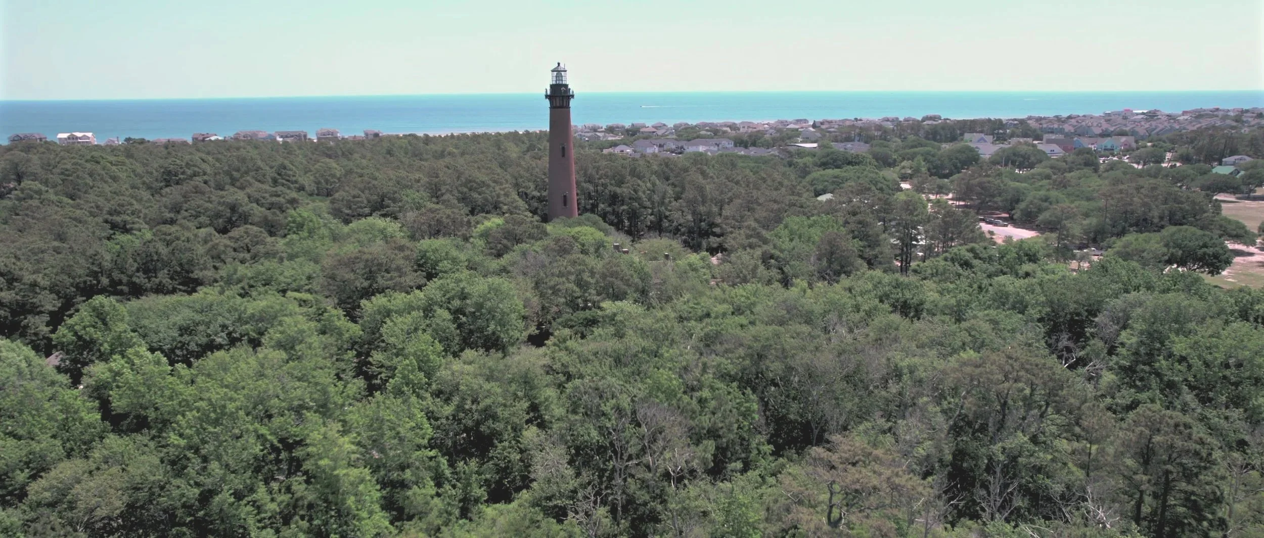 A tall lighthouse with a dark exterior standing amid dense green trees near a coastline with houses in the background.