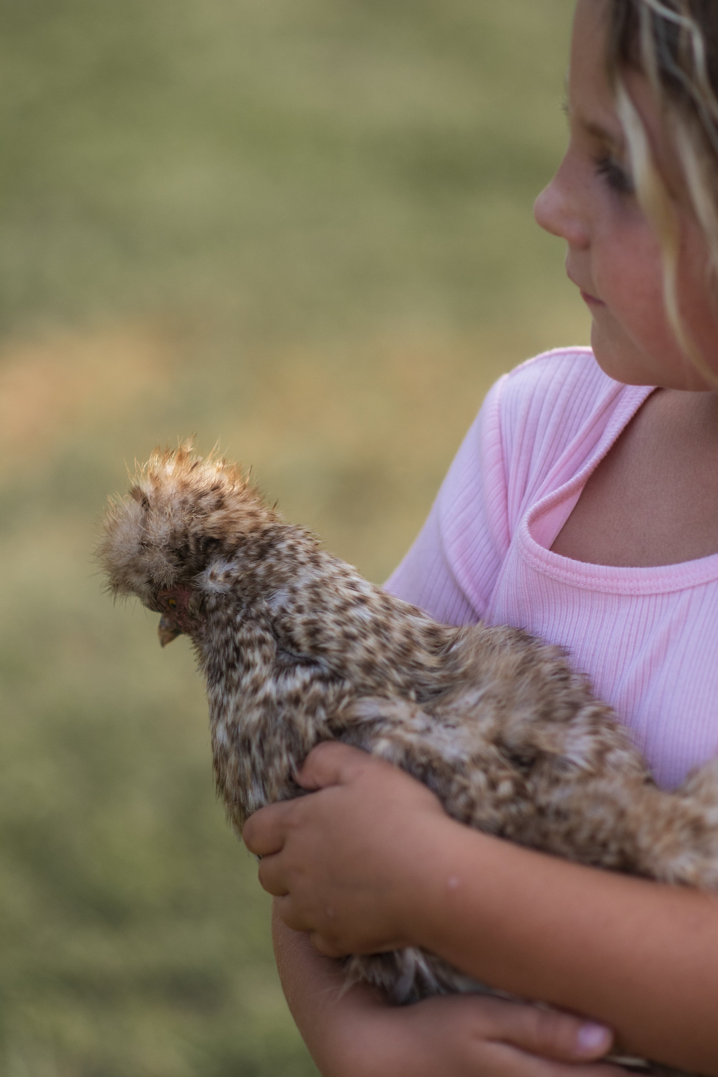 Celebrate Your Birthday at the Farm!
