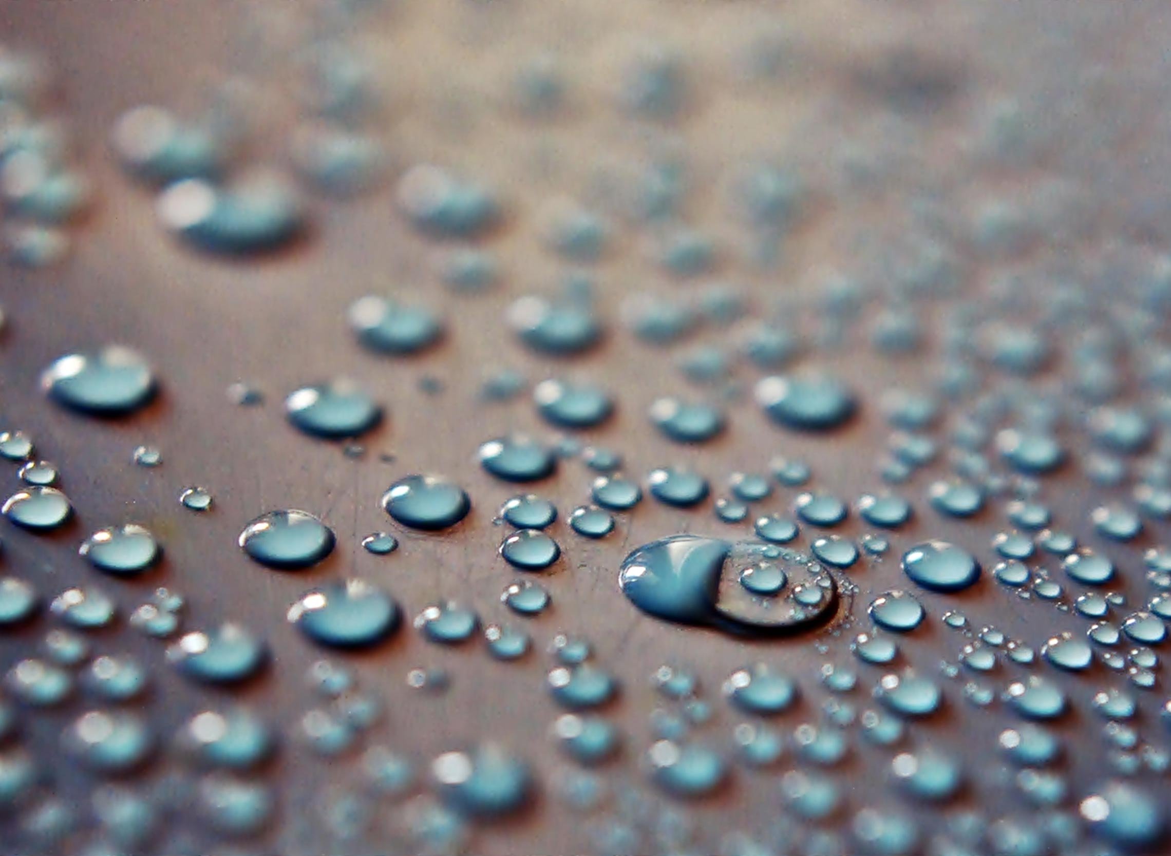 Close-up of water droplets on a metallic surface