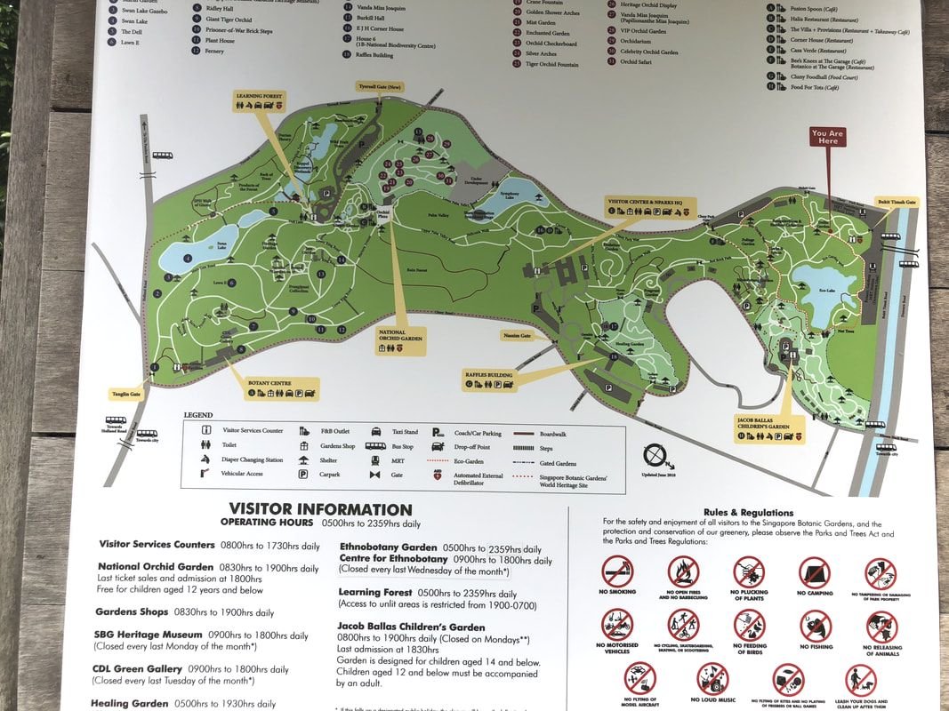 Map of Singapore Botanic Gardens with pathways, lakes, and various visitor amenities, marking the current location with a 'You Are Here' indicator.