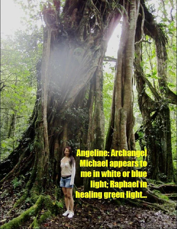A woman standing at the base of a large, ancient tree in a green forest. The woman is smiling and wearing a white top and shorts. There is yellow text over the image that mentions angels and healing lights.
