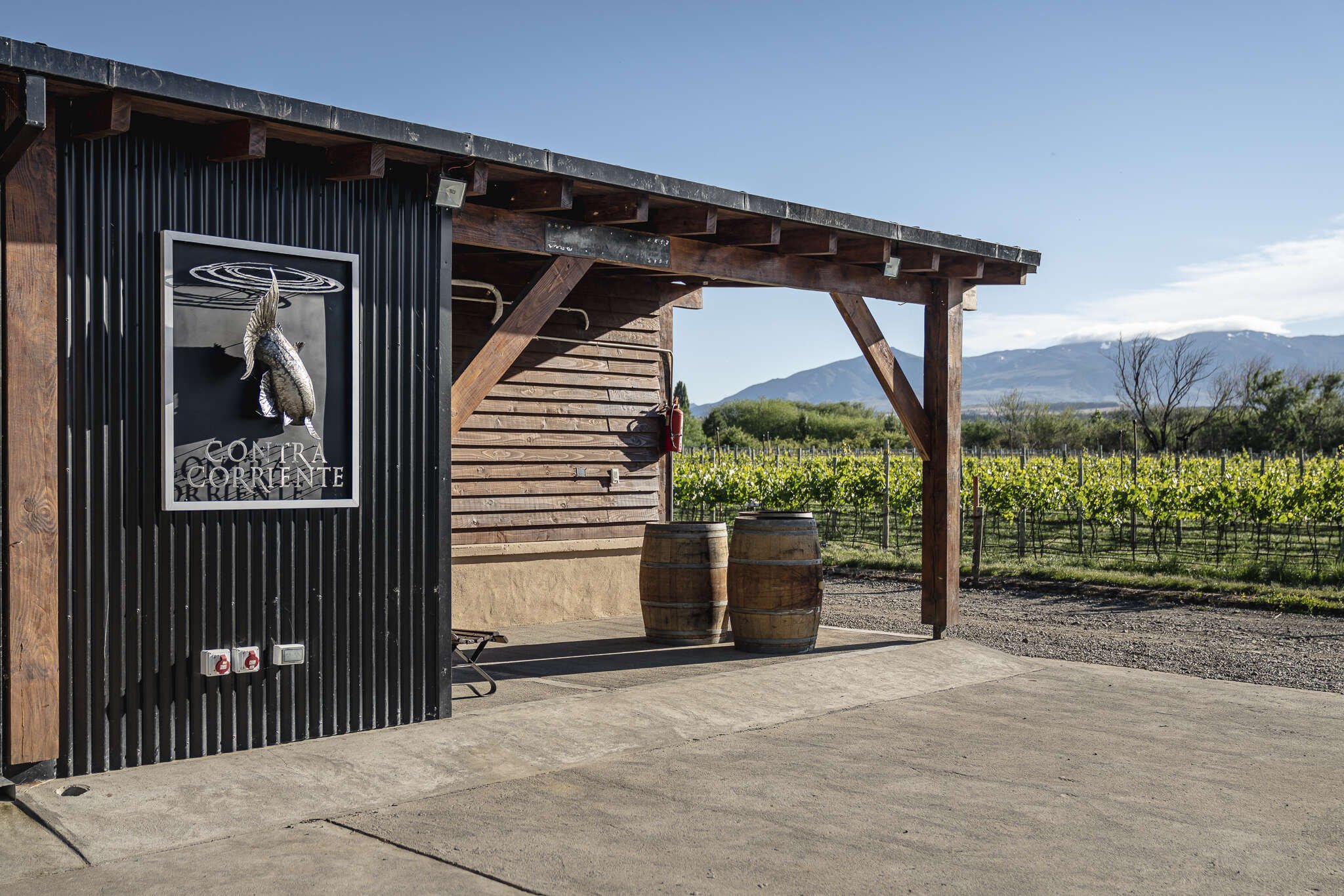 Bodega Contra Corriente