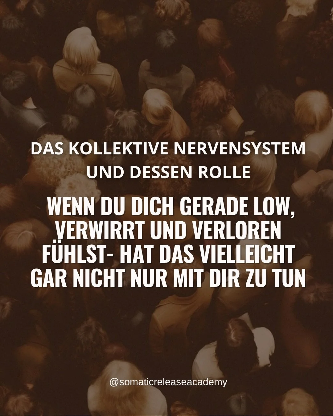 DAS KOLLEKTIVE NERVENSYSTEM R&Uuml;TTELT. Und zeitgleich er&ouml;ffnet es die M&ouml;glichkeit wieder tiefer mit deiner Wahrheit in Verbindung zu kommen.

Wenn du also mehr &uuml;ber Somatic und emotional Release lernen willst: BREAKTHROUGH TO CASH
L