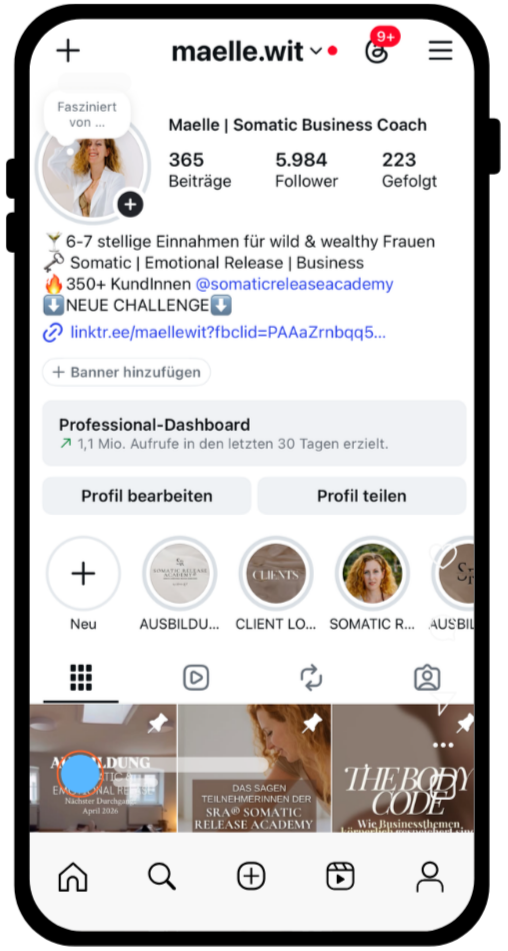 Screenshot eines Instagram-Profils namens Maelle.wit, das eine Business-Coachin für emotionale und geschäftliche Selbstfindung mit 5.984 Followern zeigt.