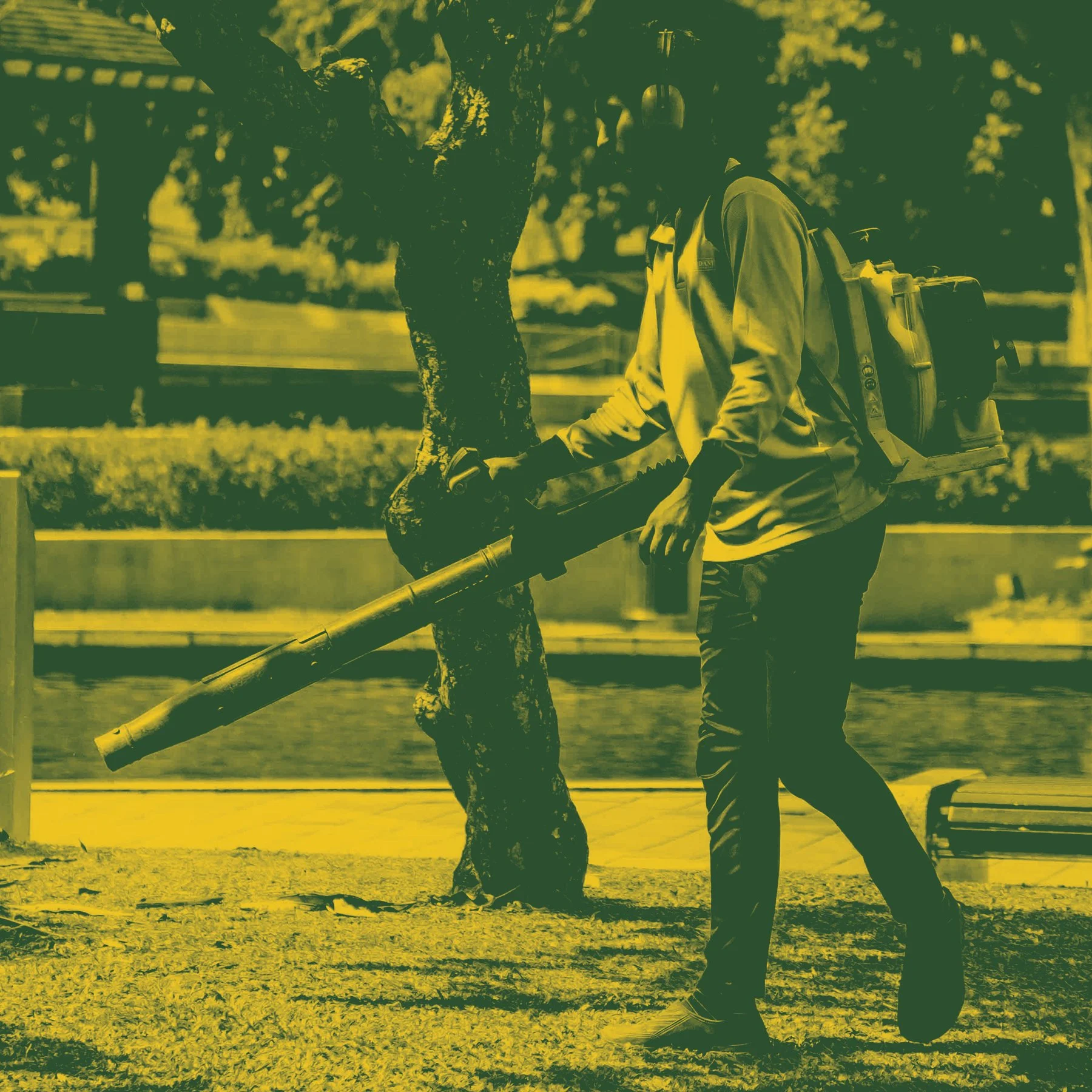 Person spraying a tree with a leaf blower in an outdoor park or yard
