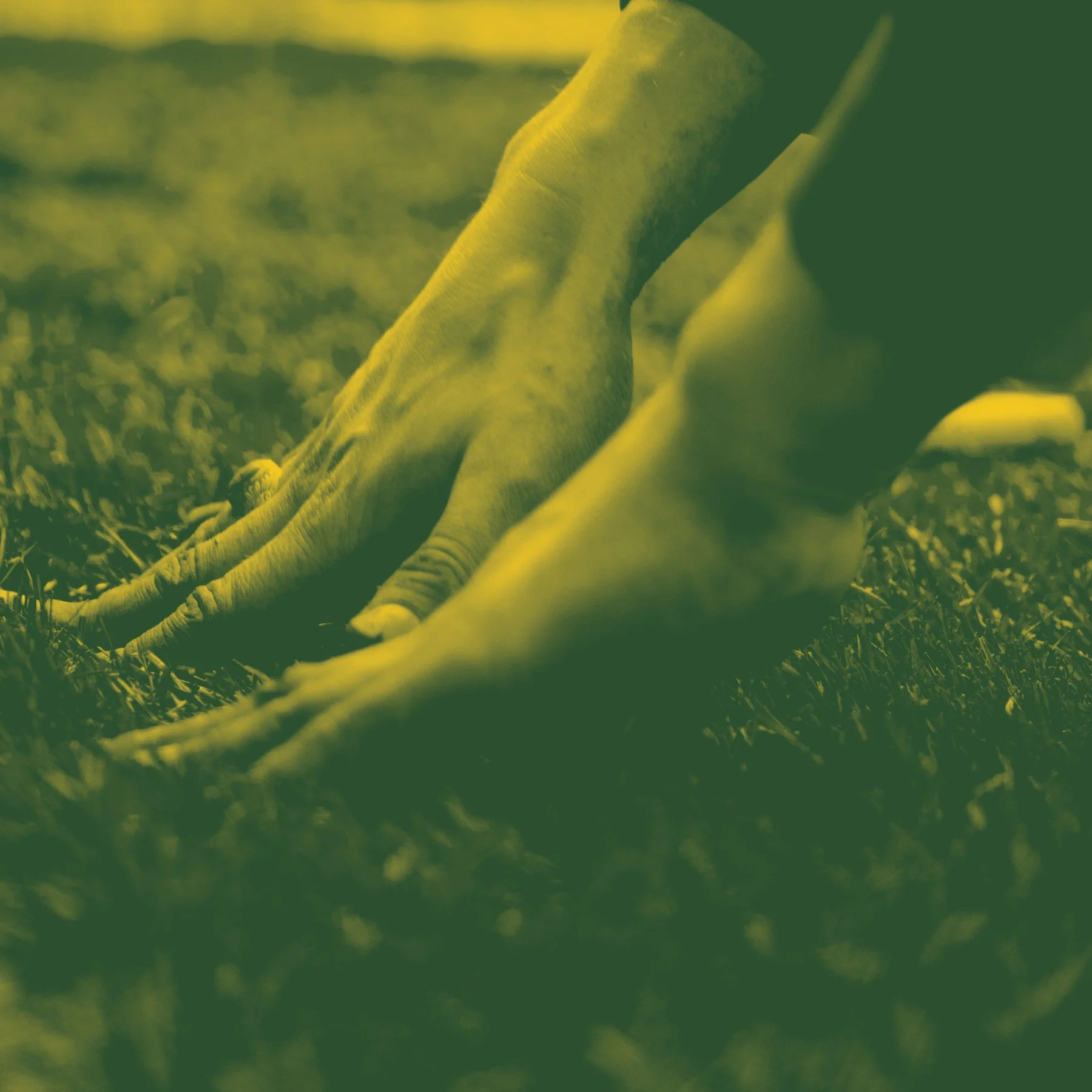 Close-up of a person's hands, pushing down on the ground as if doing landscaping.