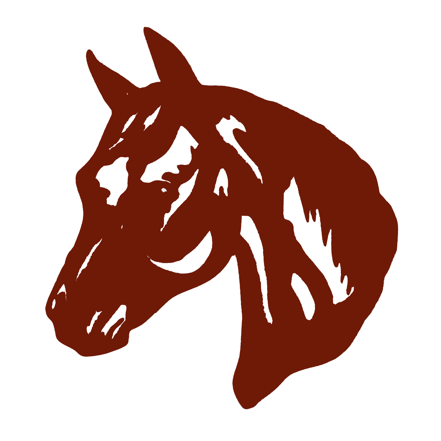 Equine Behaviour Coach