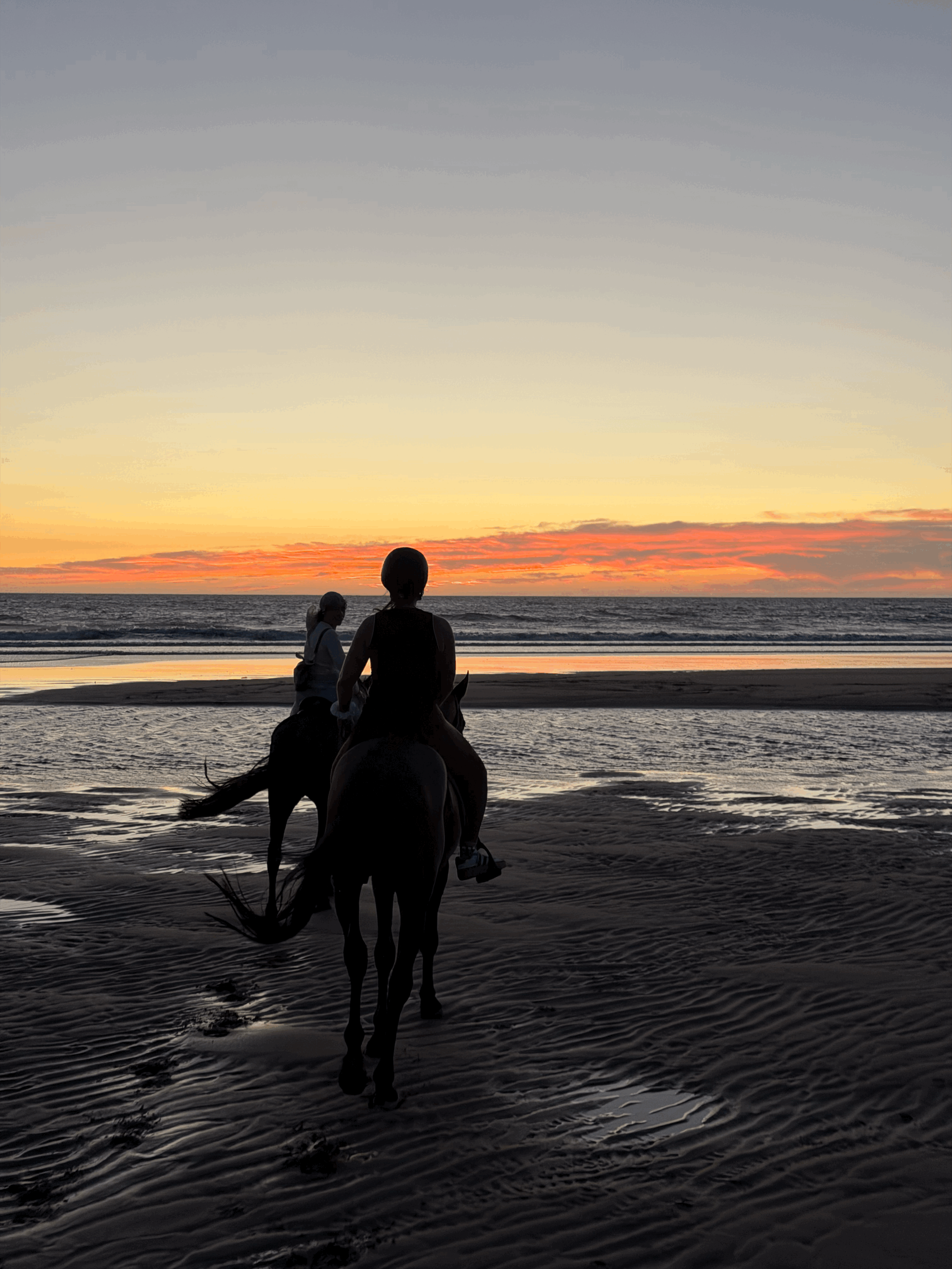 Retraite yoga et cheval à Essaouira : pourquoi allier ces deux pratiques ?