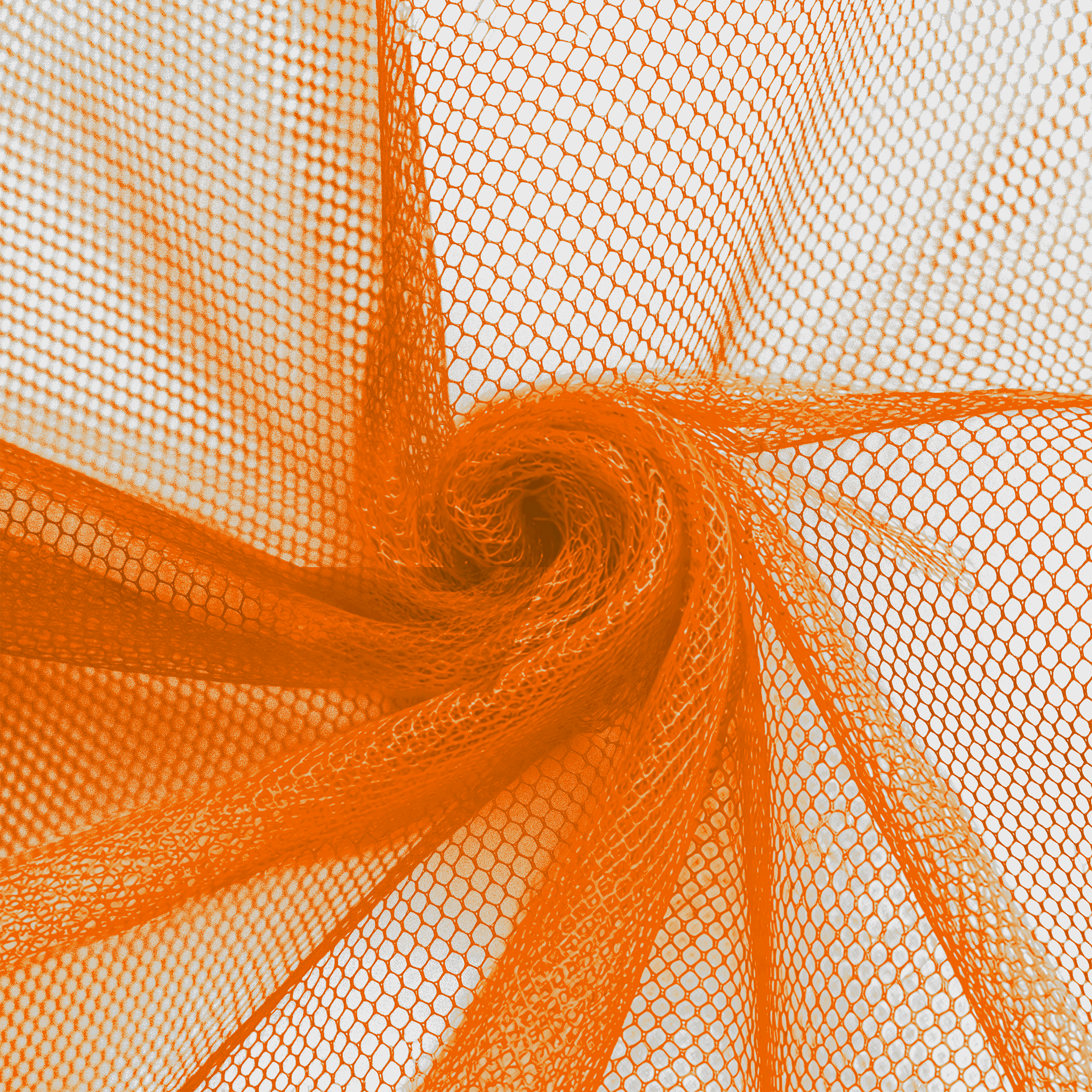 039-Papayafilo_9001@0,5x.png
