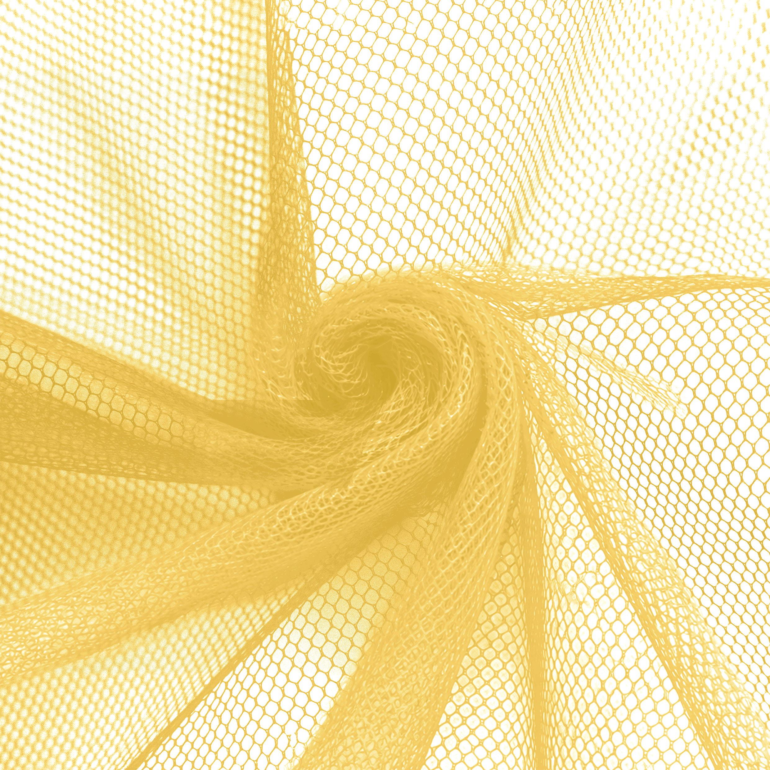 035-AmareloGema_filo_9001@0,5x.png