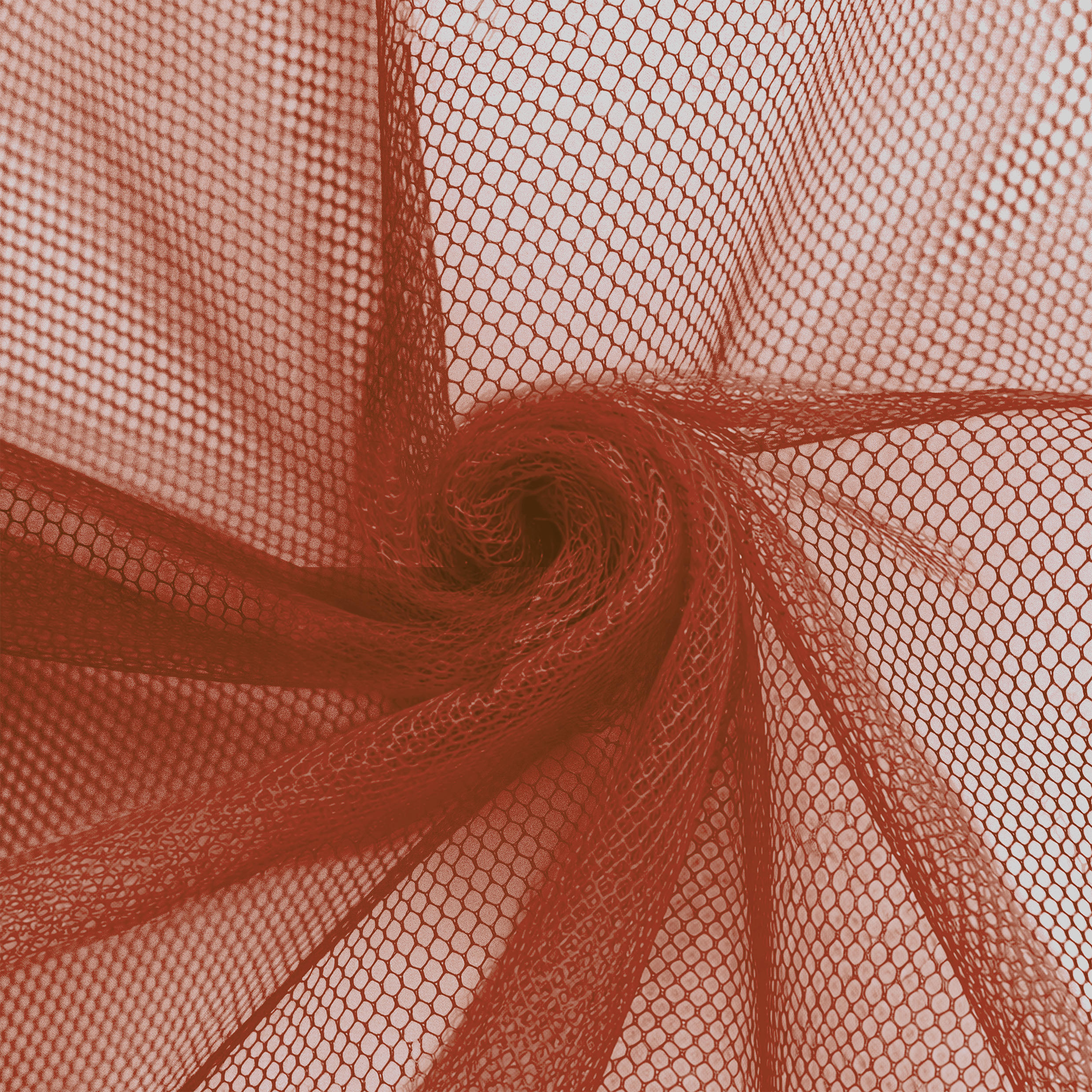 453-LaranjaFaisca_filo_9001@0,5x.png