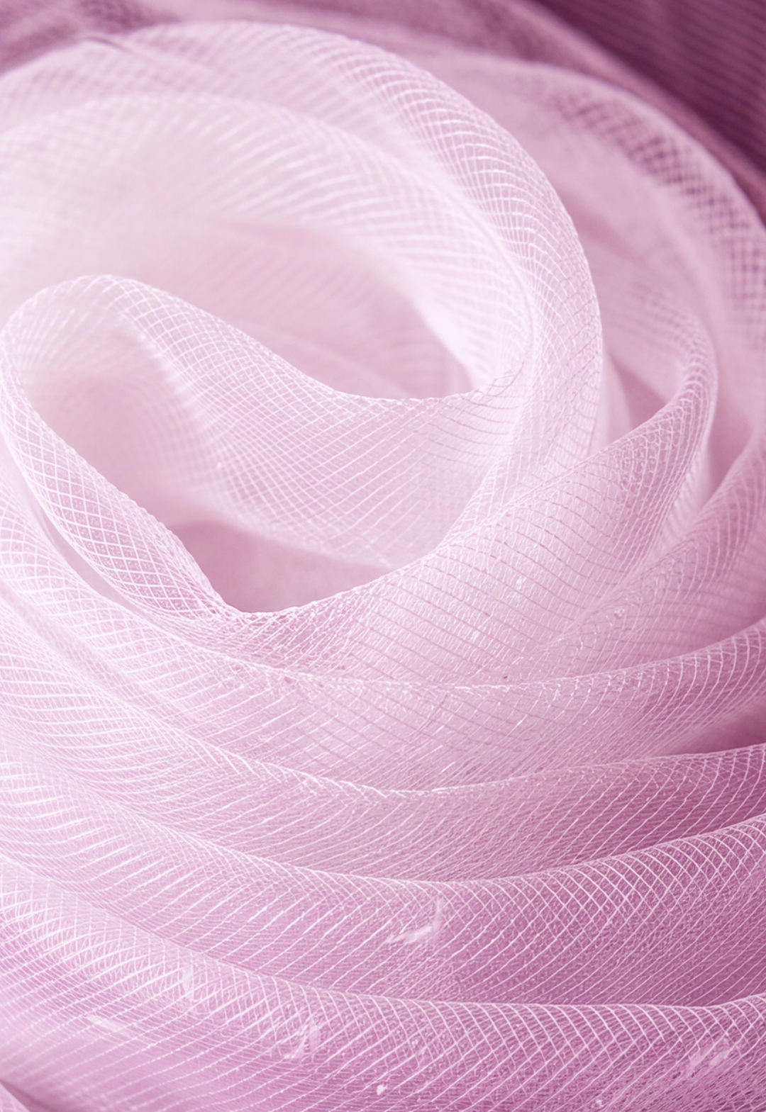 Tule Paris