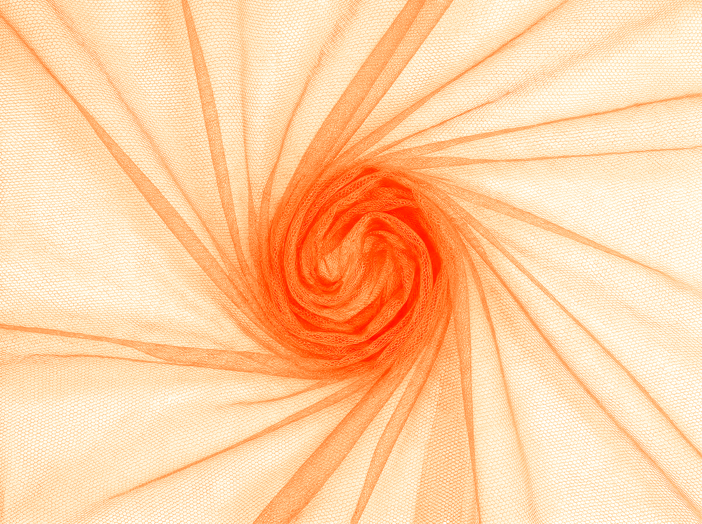 039 - Papaya.png