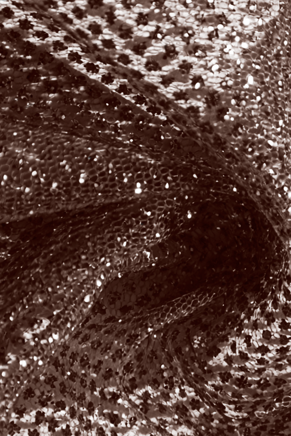 gliltter-de-artificio-mocha@0,25x.png