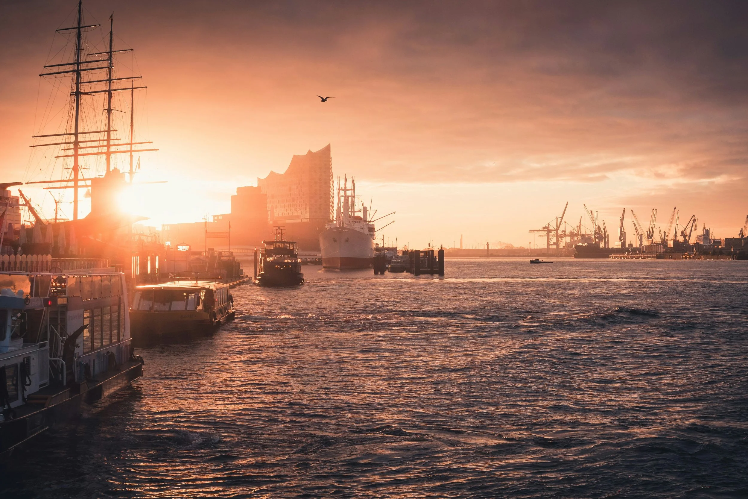 Ein Sonnenuntergang über einem Hafen mit mehreren Booten und Schiffen, einige im Wasser und andere am Kai, mit einem verlassenen Gebäude im Hintergrund und einem einzelnen Vogel am Himmel.
