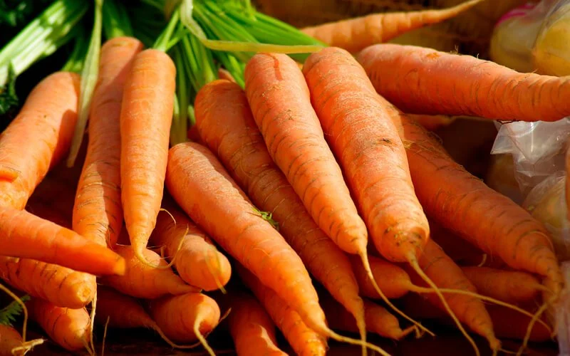 Zanahorias deshidratadas