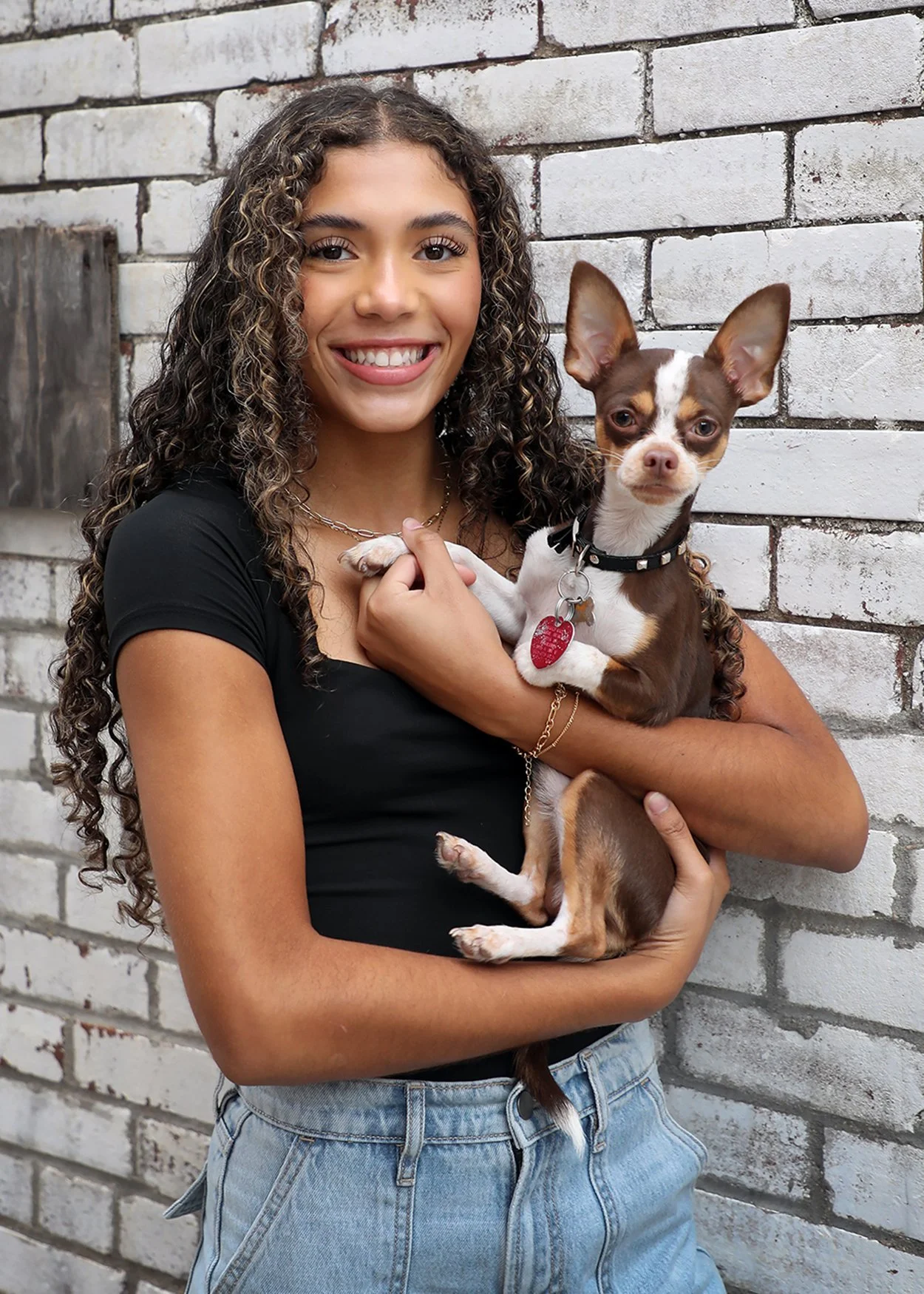 A young woman with curly hair holding a small dog with large ears in front of a white brick wall.
