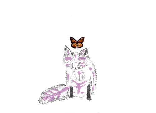 55.webp