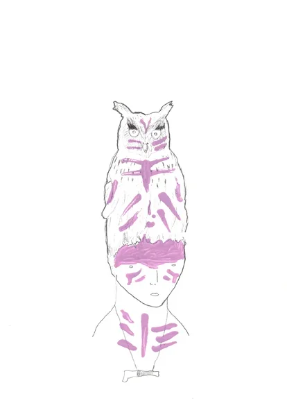 53.webp
