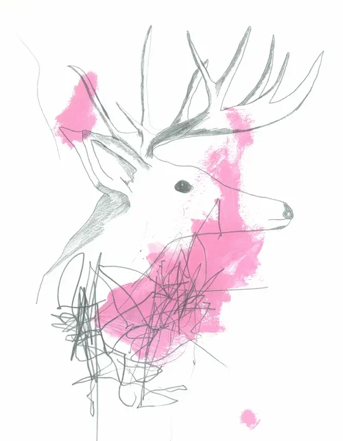59.webp