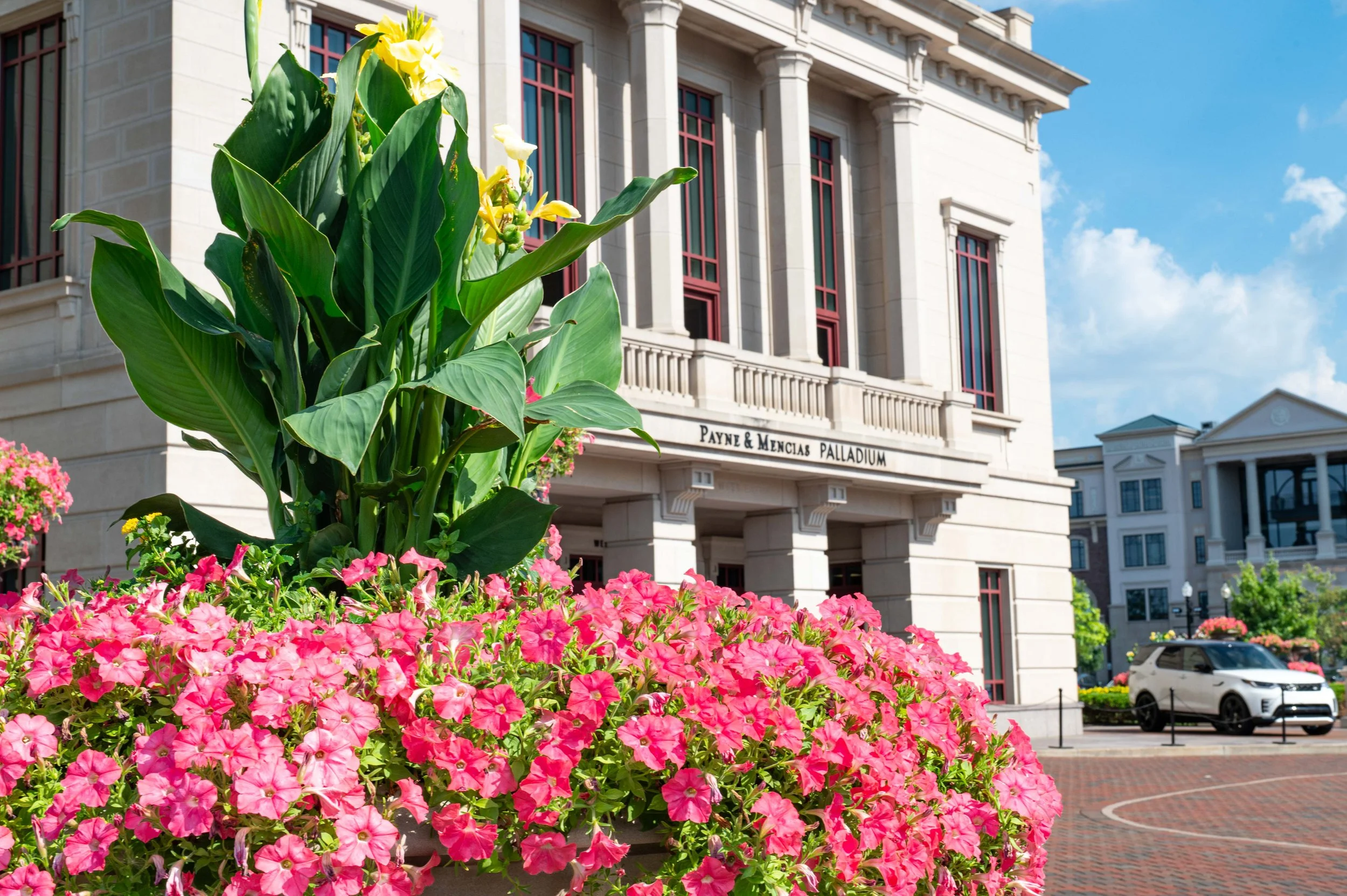 Colorful flower bed with pink and yellow flowers in front of the Palladium theater building, with clear blue sky overhead.