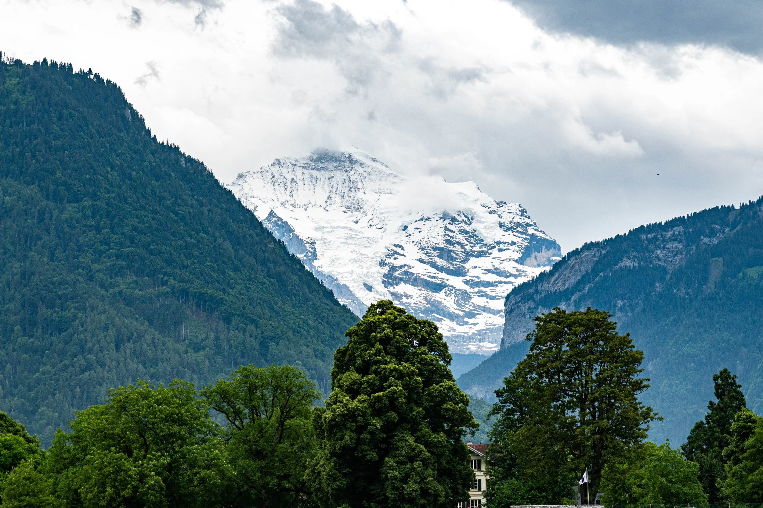 Snow-capped mountain surrounded by green forest with cloudy sky