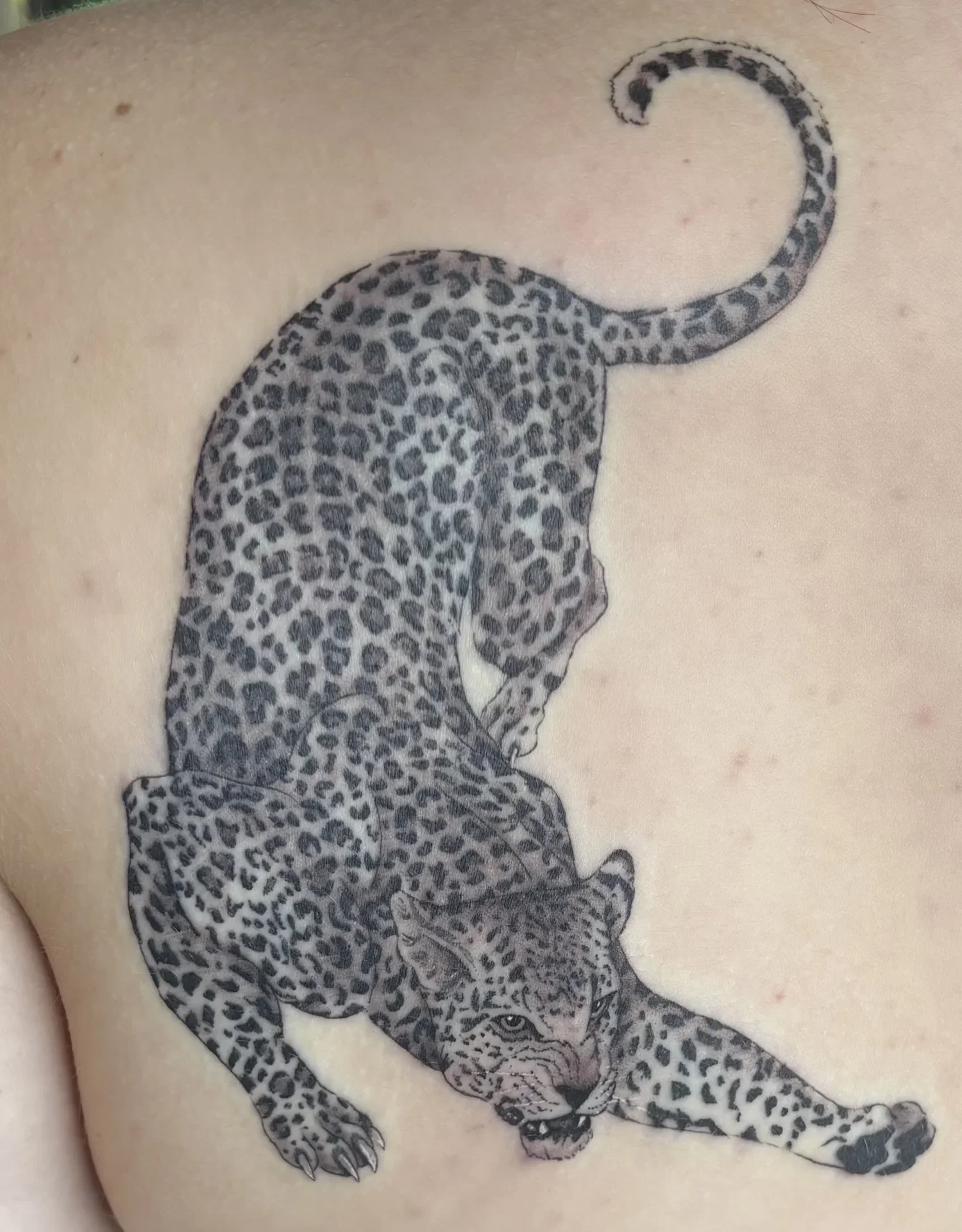 Leopard Tattoo