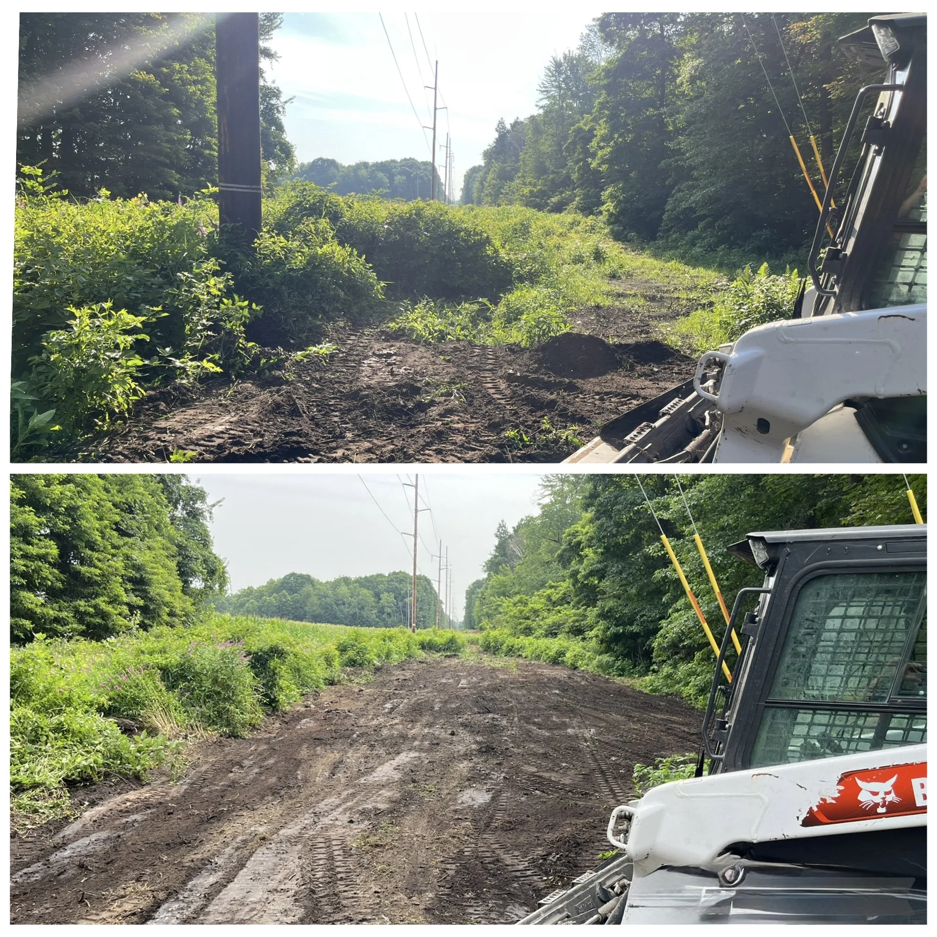 Land Management/Clearing